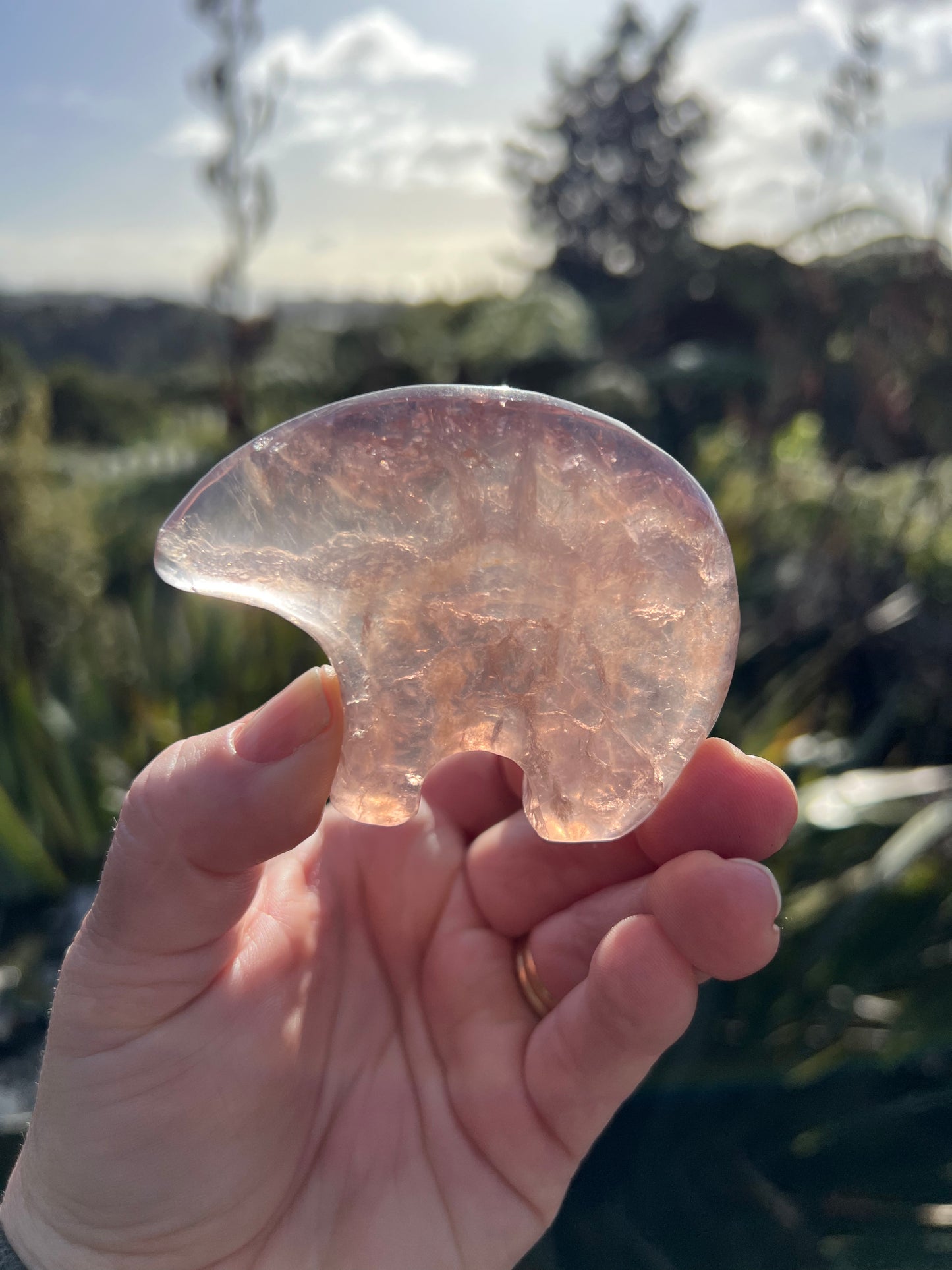 Fluorite Zuni Bear