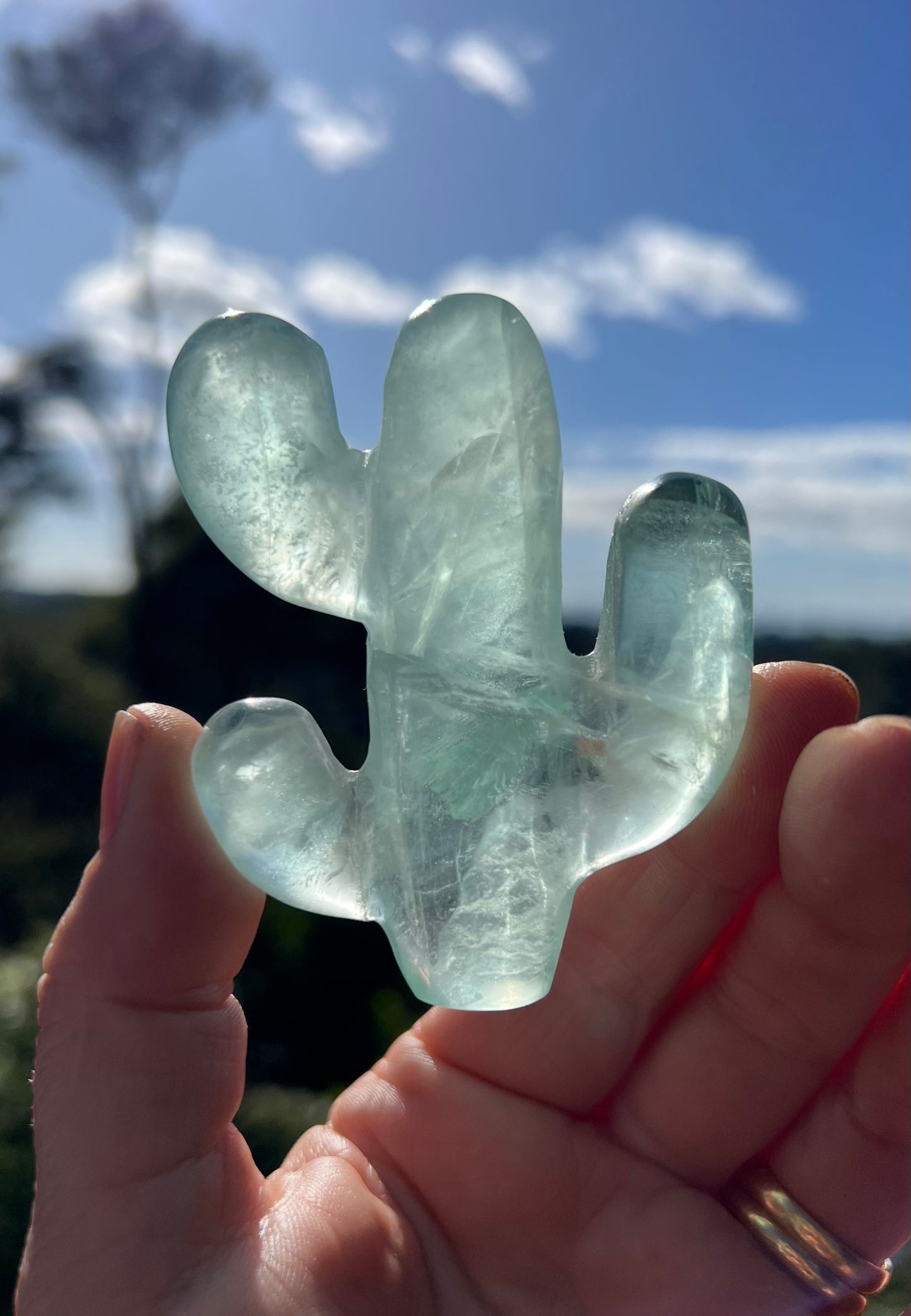 Green Fluorite Cactus