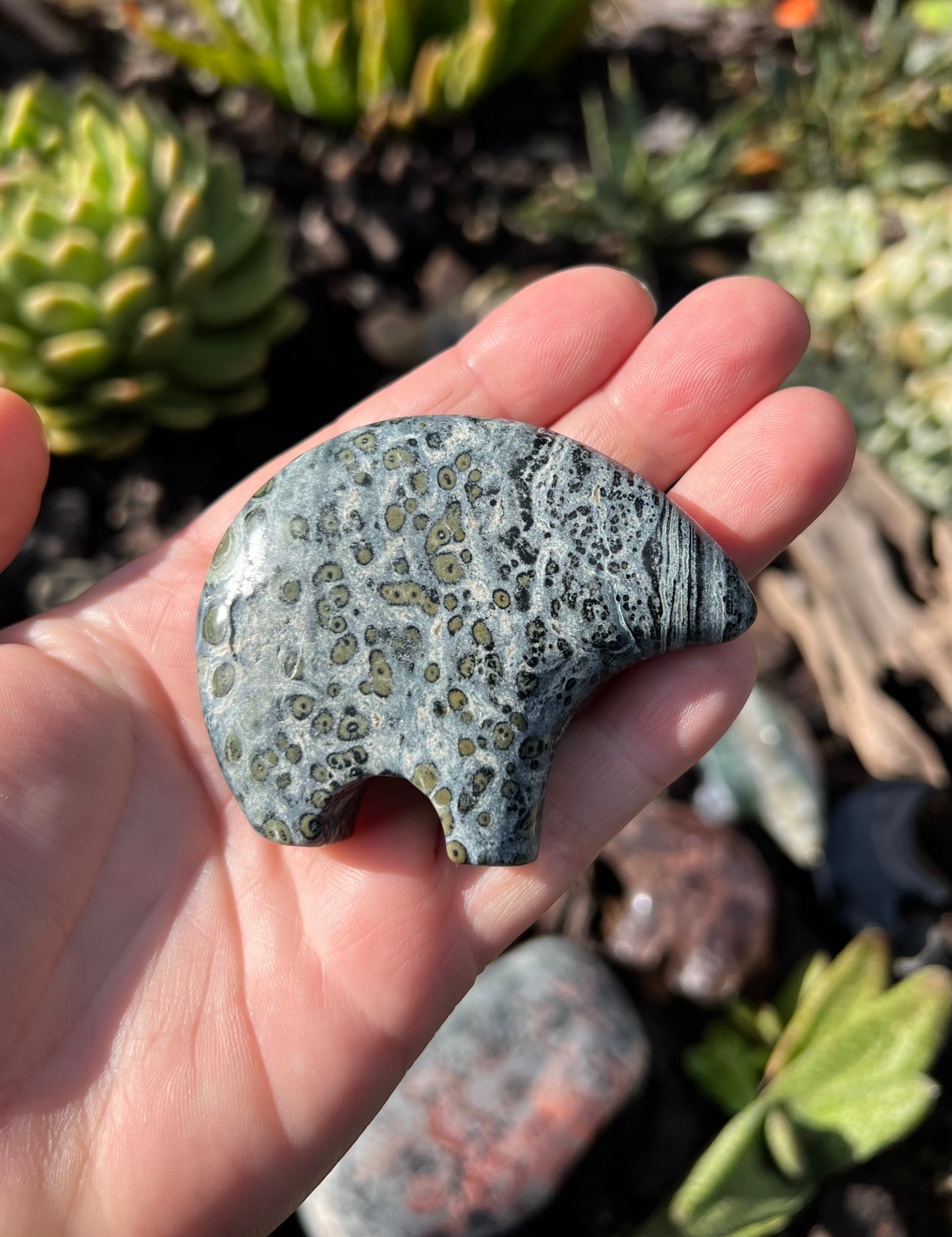 Kambaba Jasper Zuni Bear