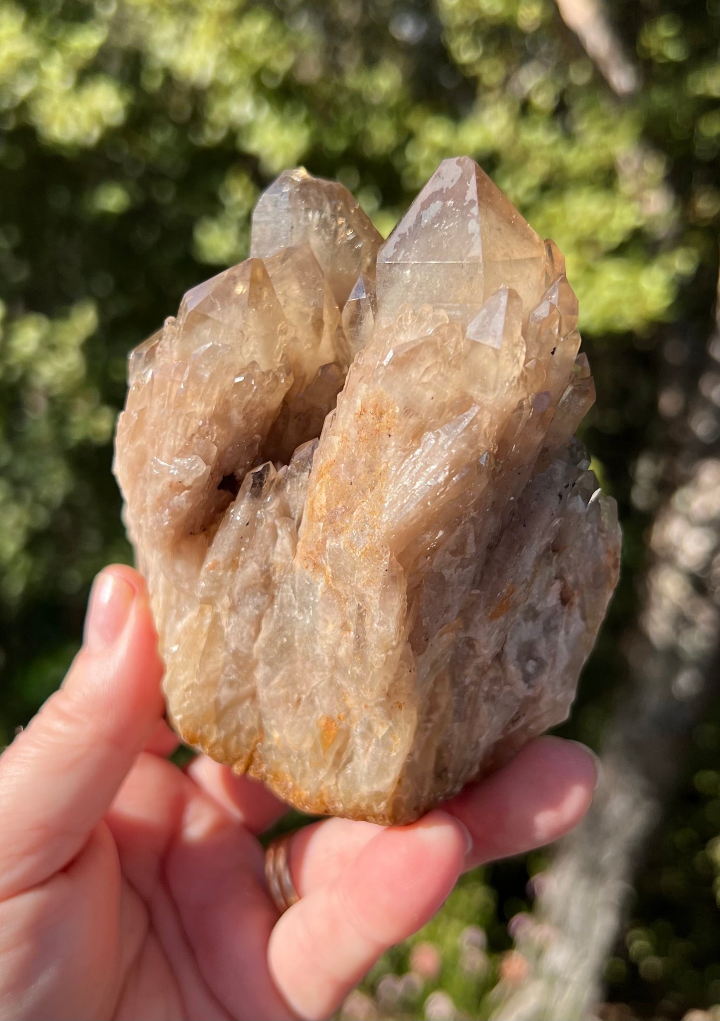 Kundalini Smoky Citrine Cluster