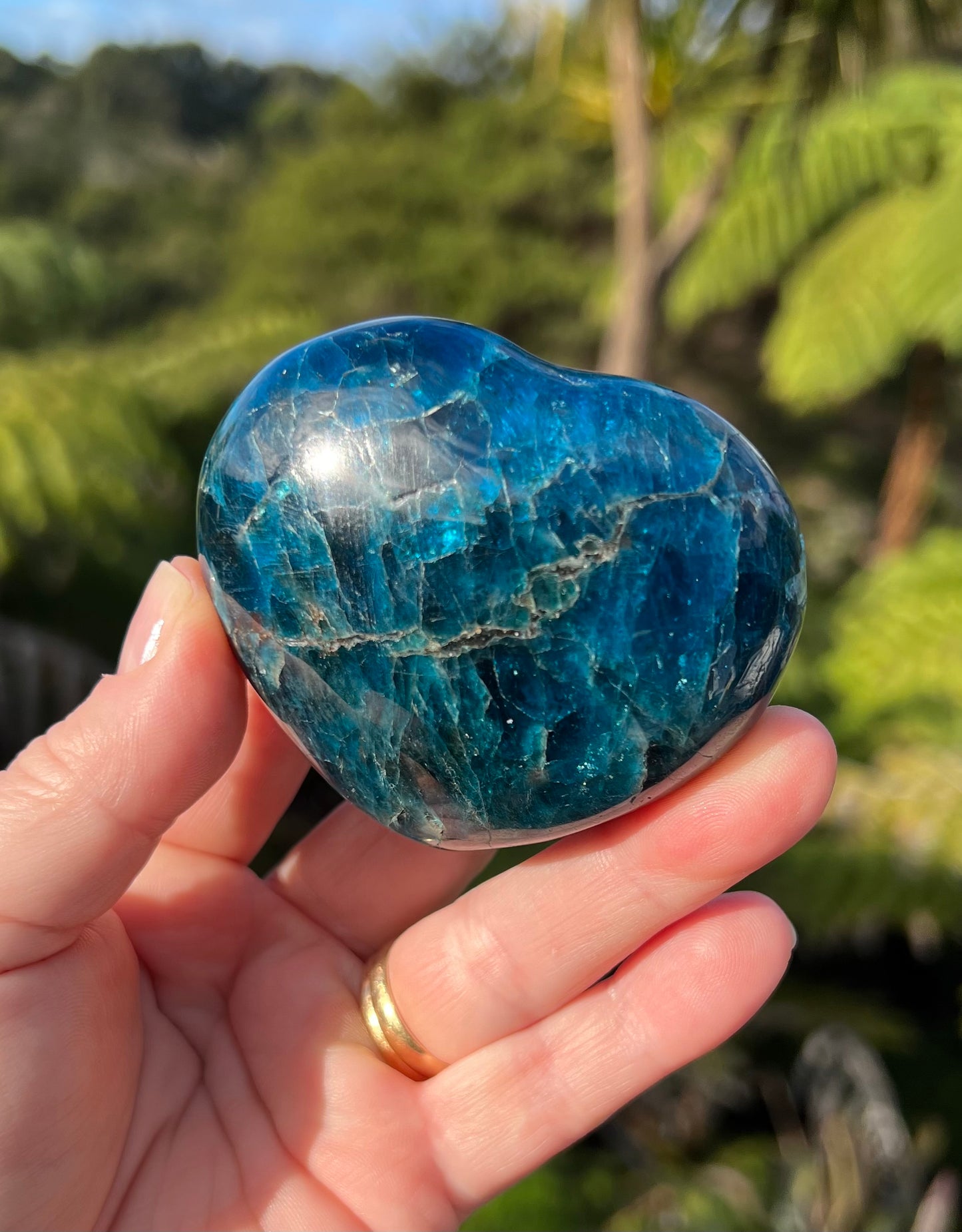 Apatite Heart
