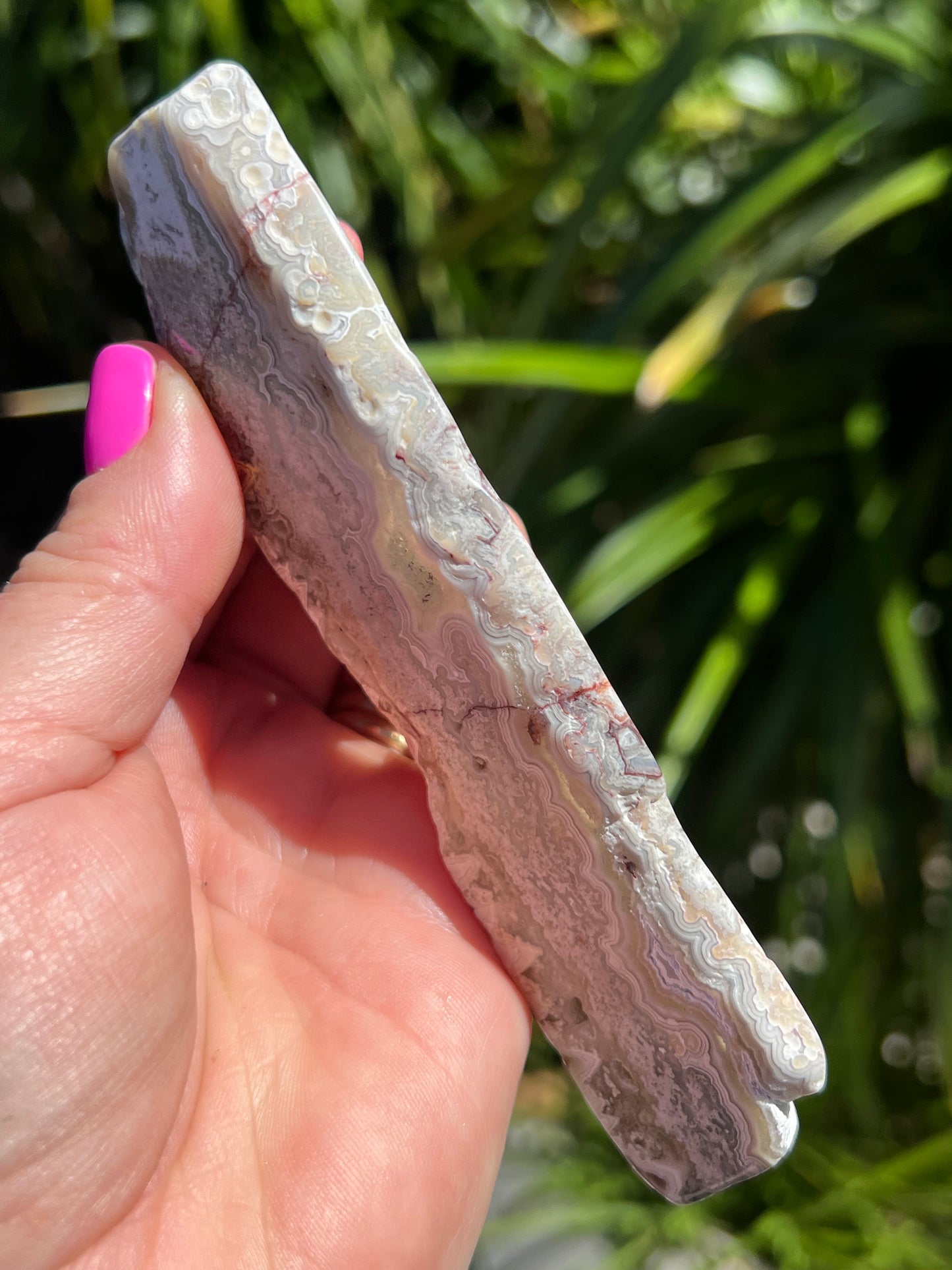 Crazy Lace Agate Slice, Mexican