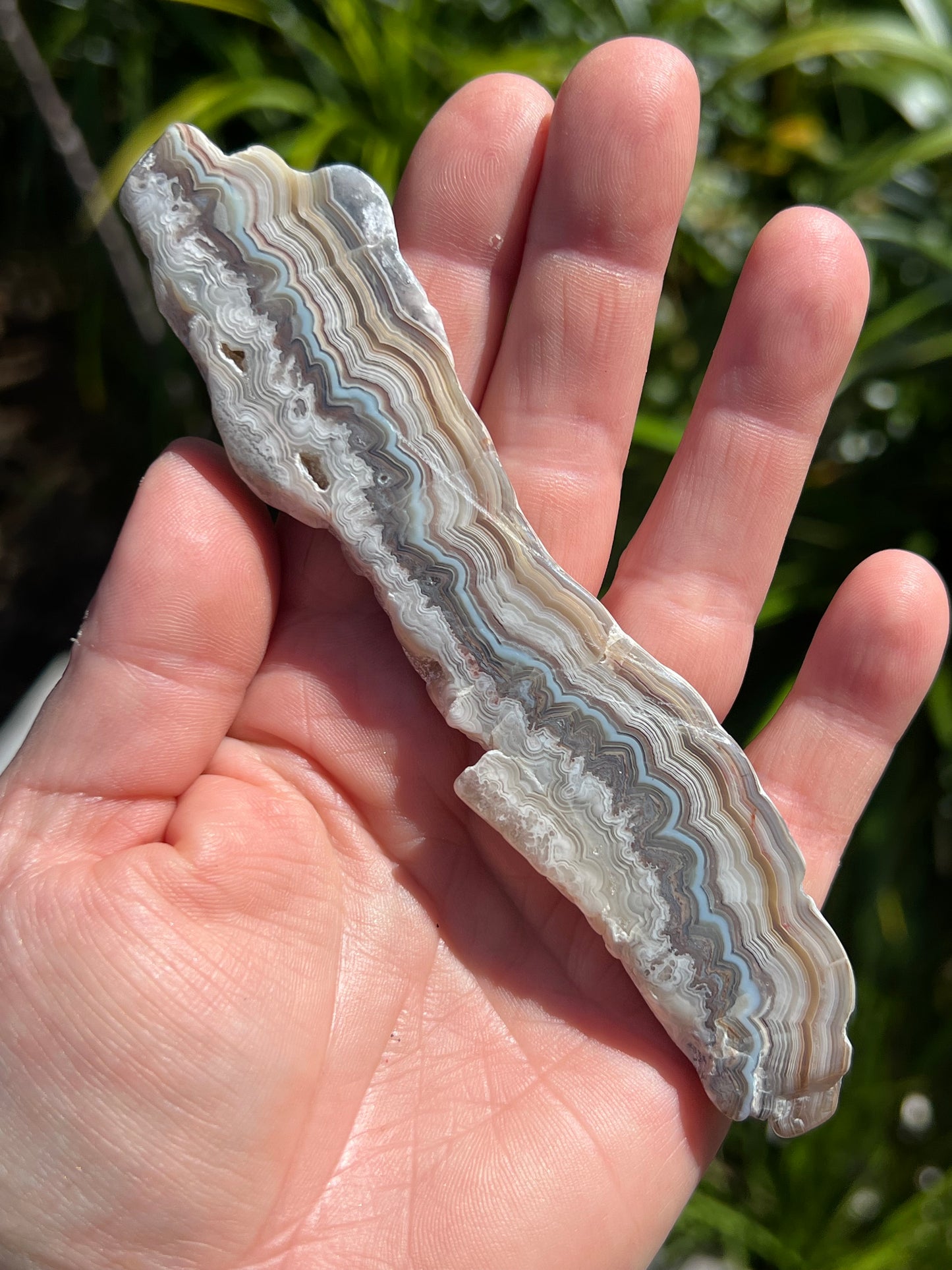 Crazy Lace Agate Slice, Mexican