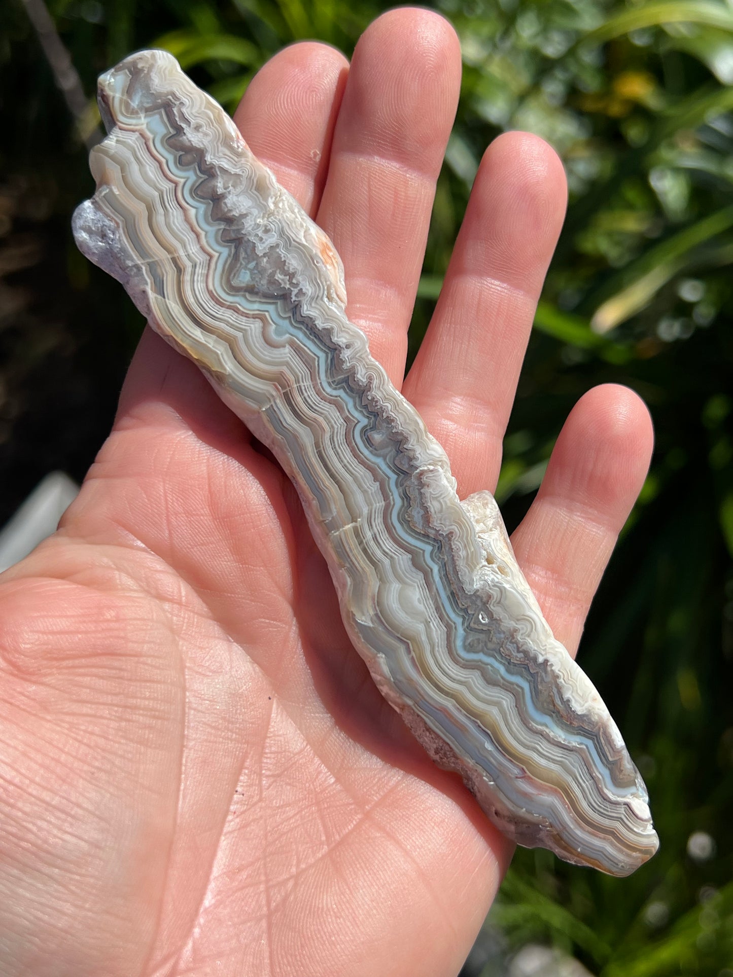 Crazy Lace Agate Slice, Mexican
