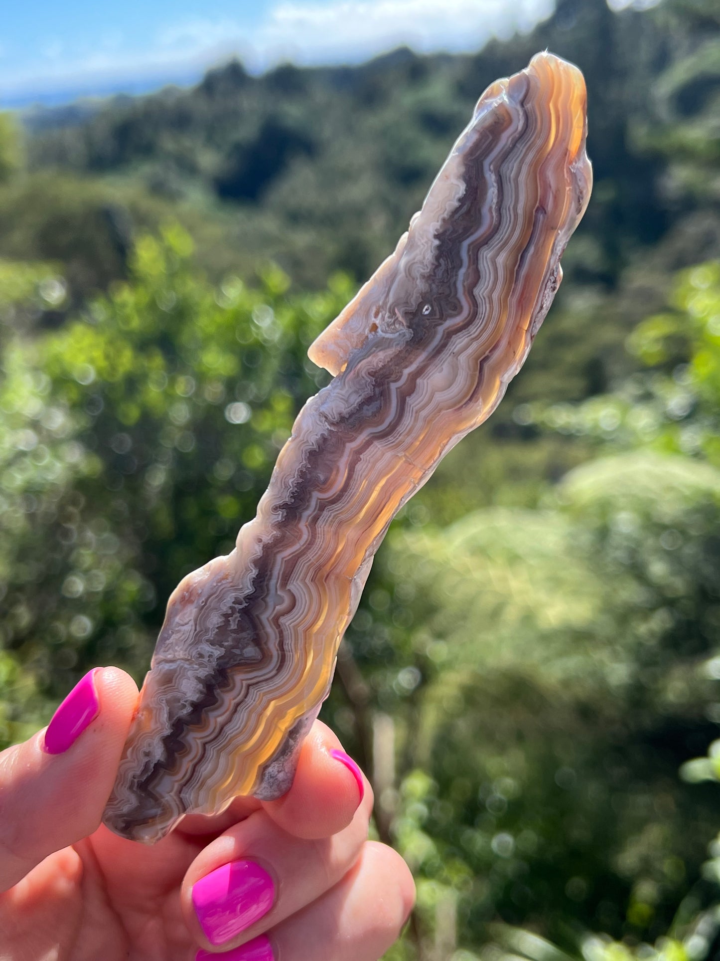 Crazy Lace Agate Slice, Mexican