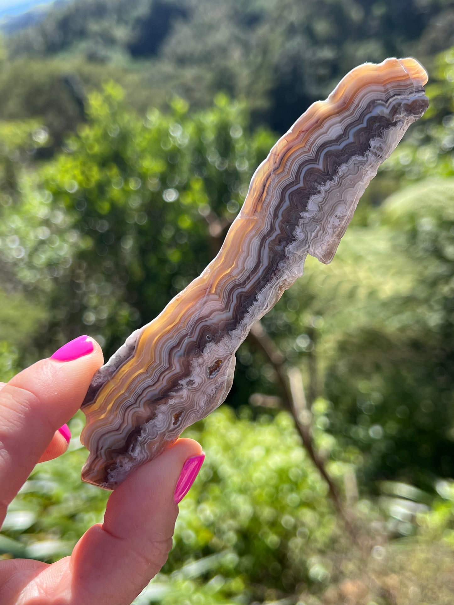 Crazy Lace Agate Slice, Mexican