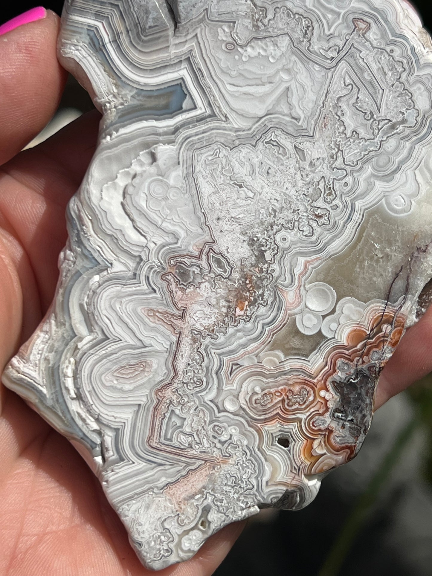 Crazy Lace Agate Slice, Mexican