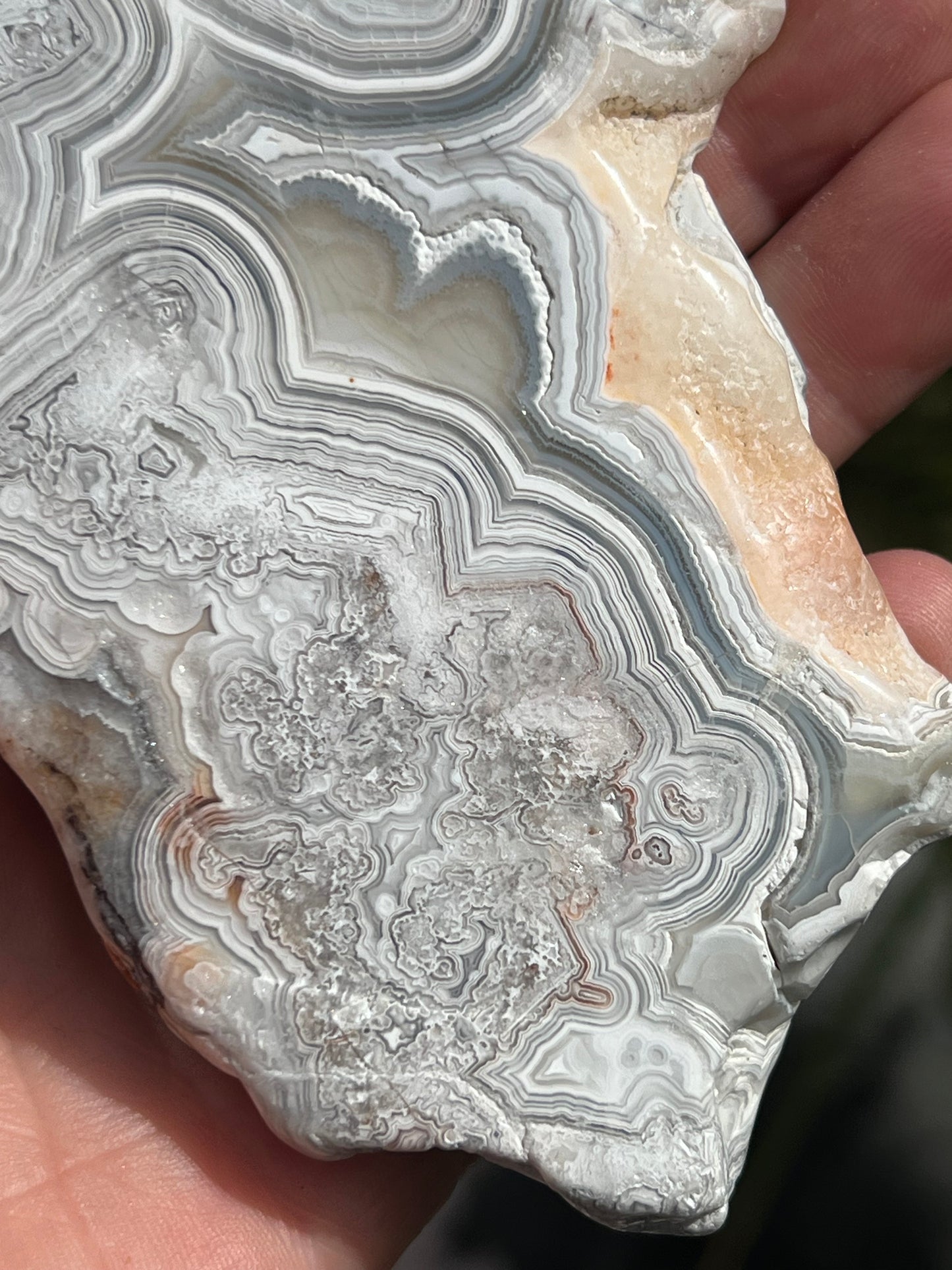 Crazy Lace Agate Slice, Mexican