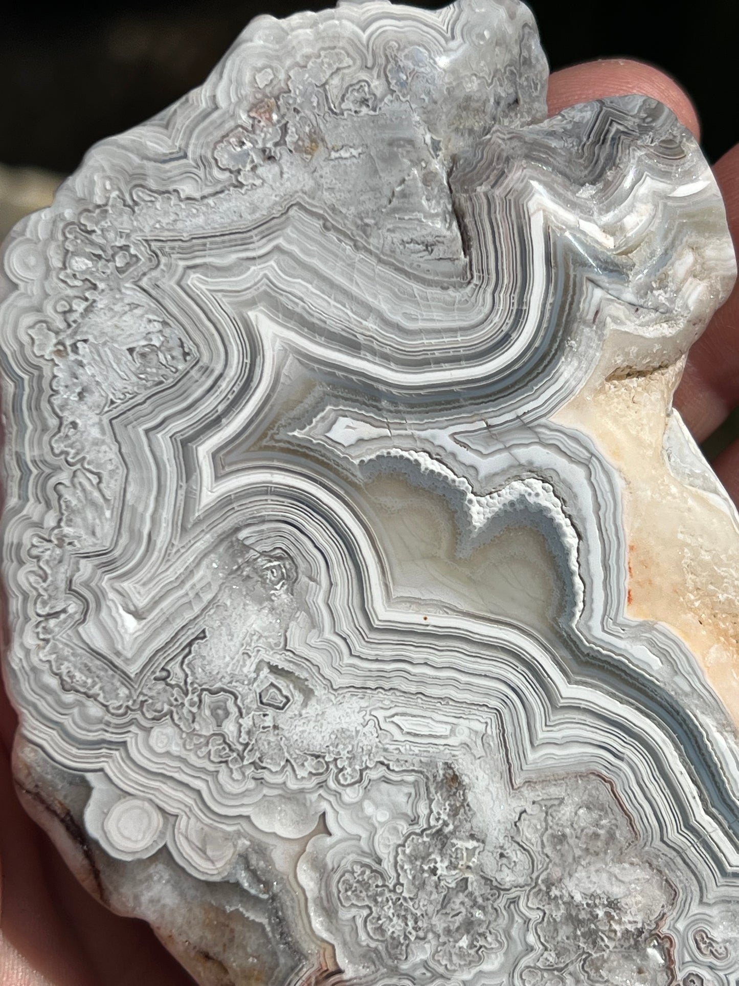 Crazy Lace Agate Slice, Mexican