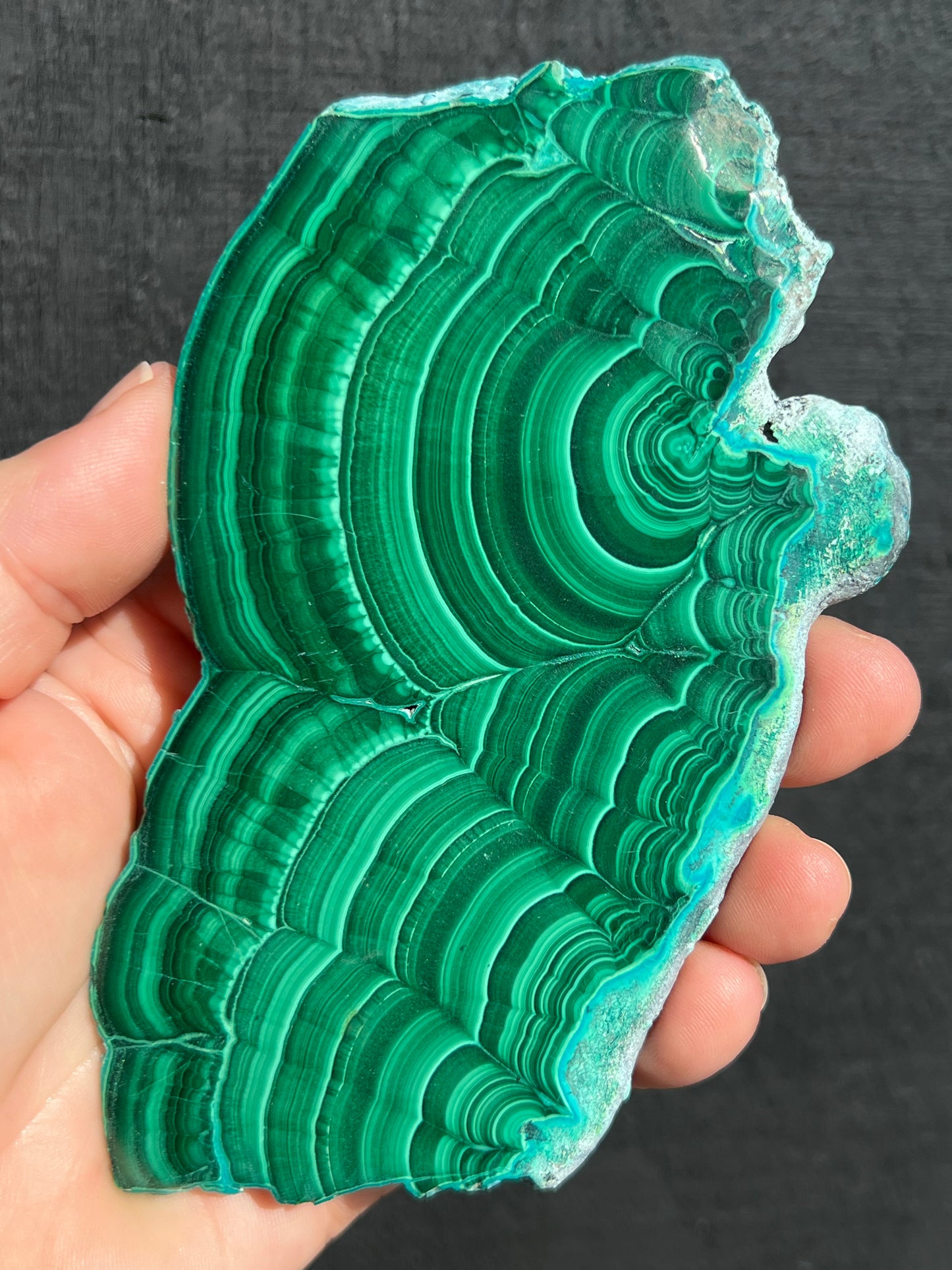 Malacholla Malachite with Chrysocolla Slice