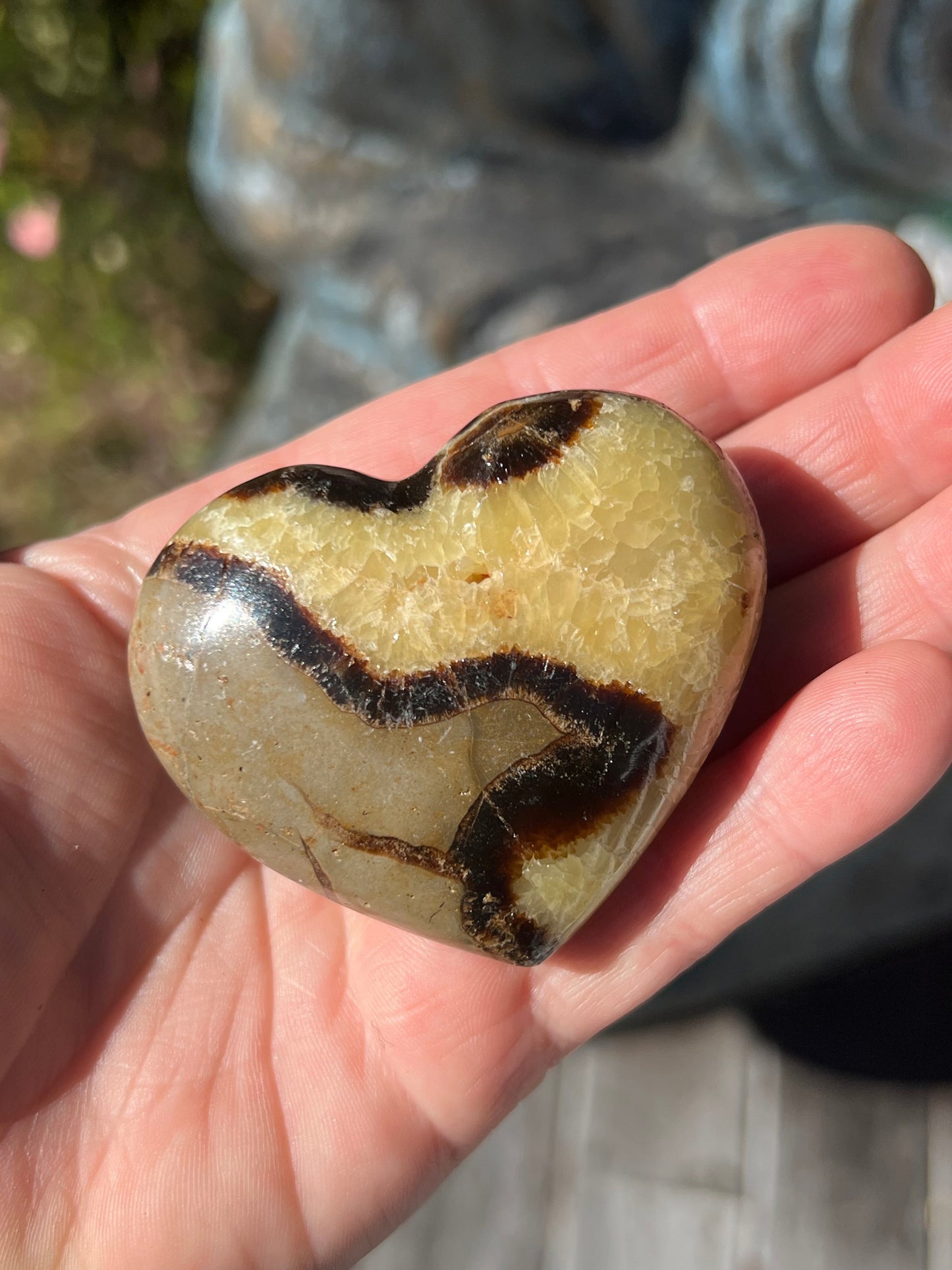 Septarian/Dragons Stone Heart