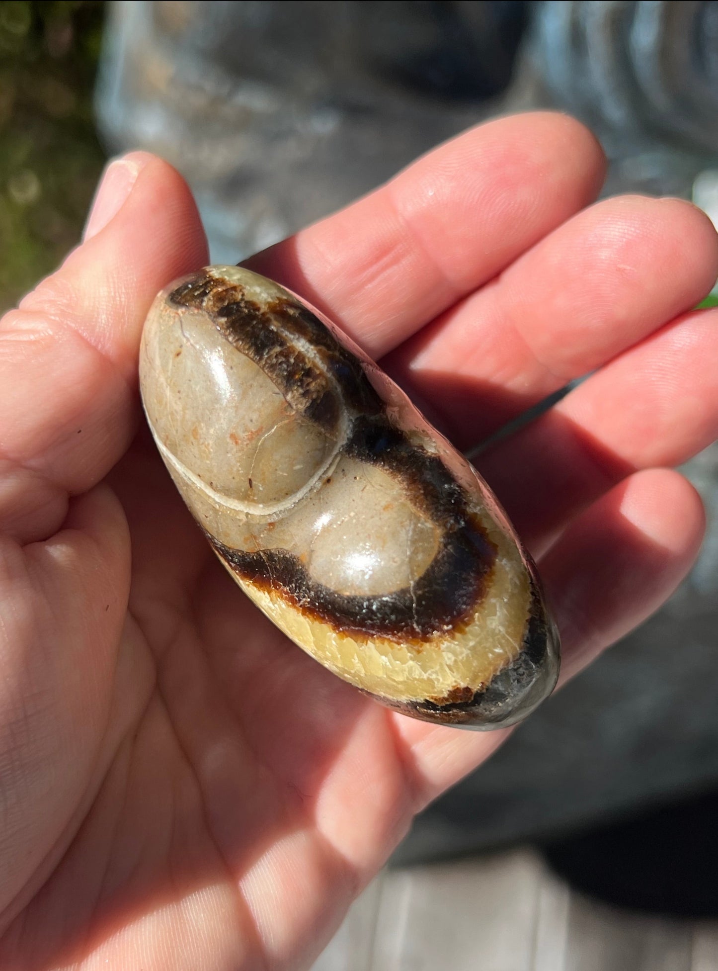 Septarian/Dragons Stone Heart