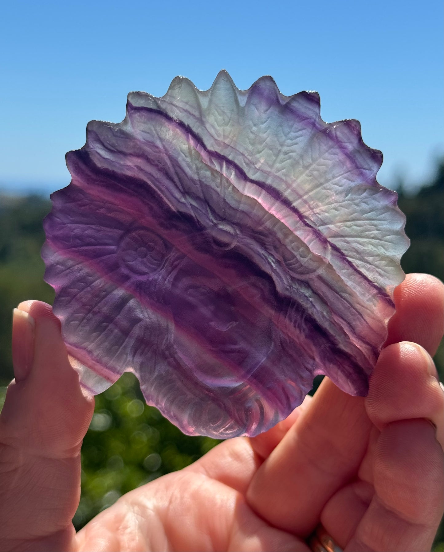 Purple Fluorite carved Indigenous American Head