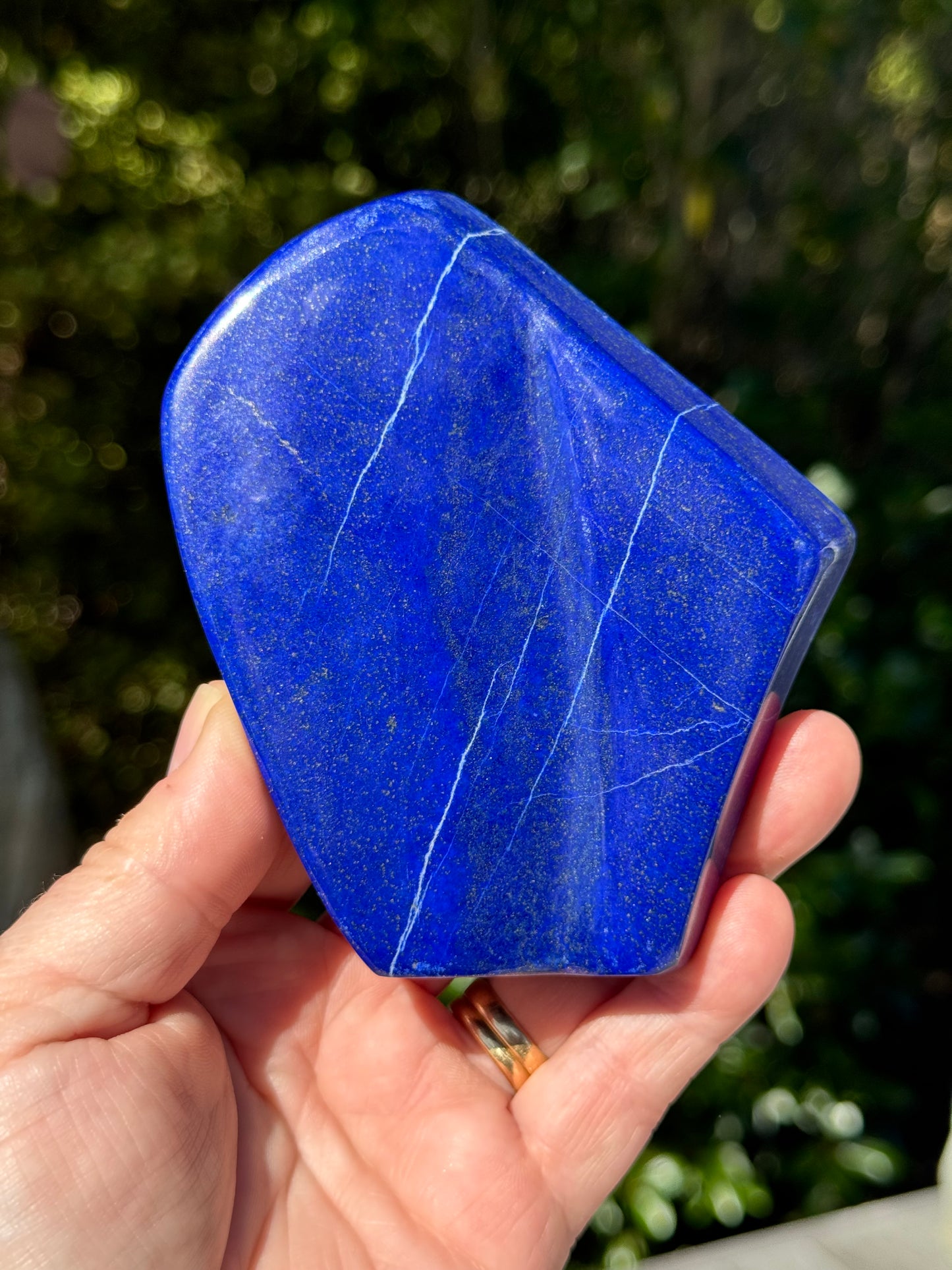 Lapis Lazuli Free Form