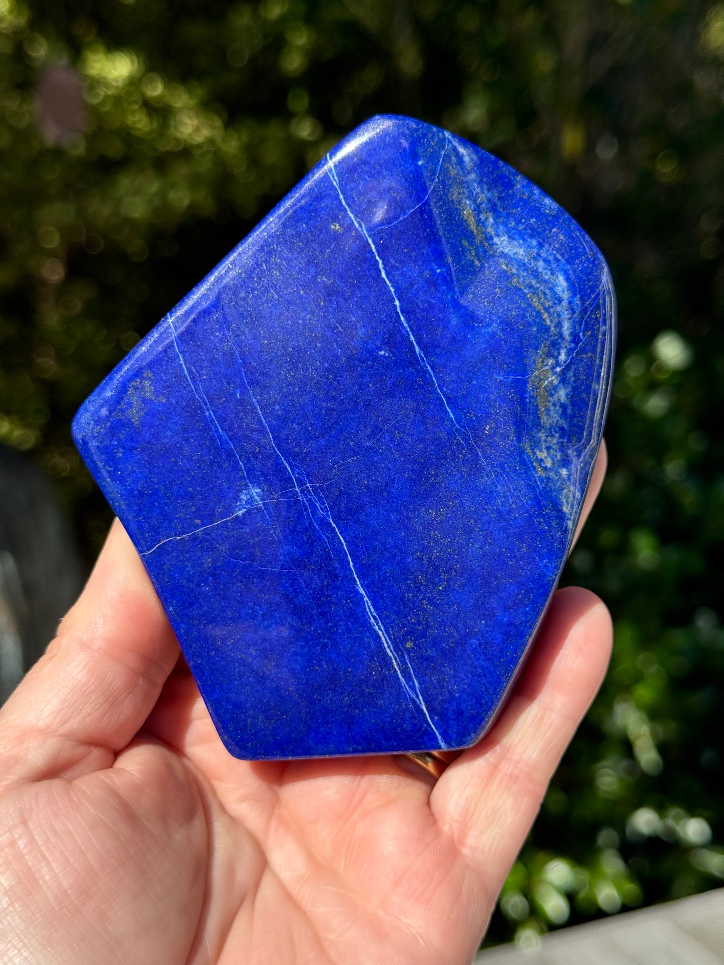 Lapis Lazuli Free Form