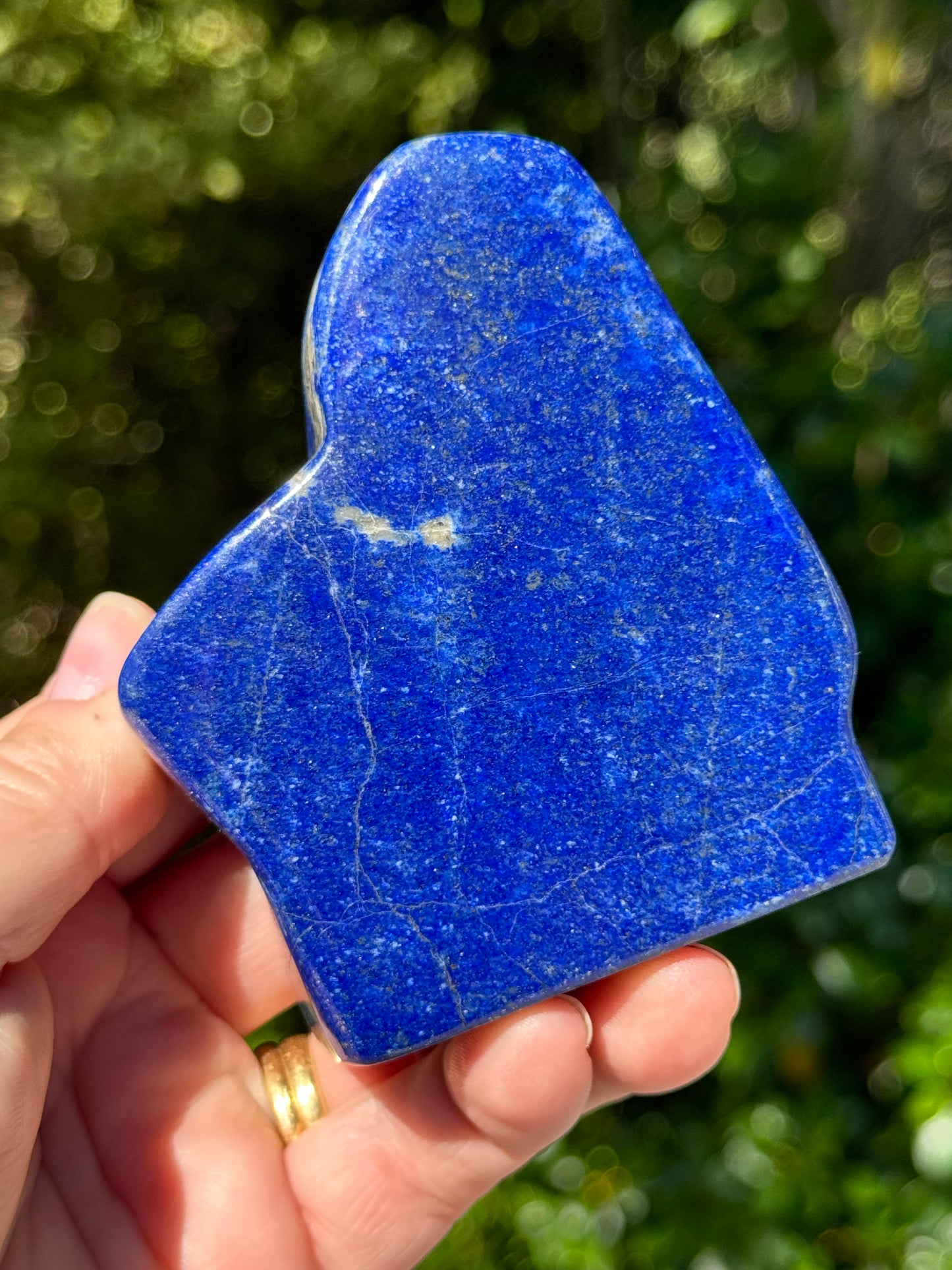 Lapis Lazuli Free Form