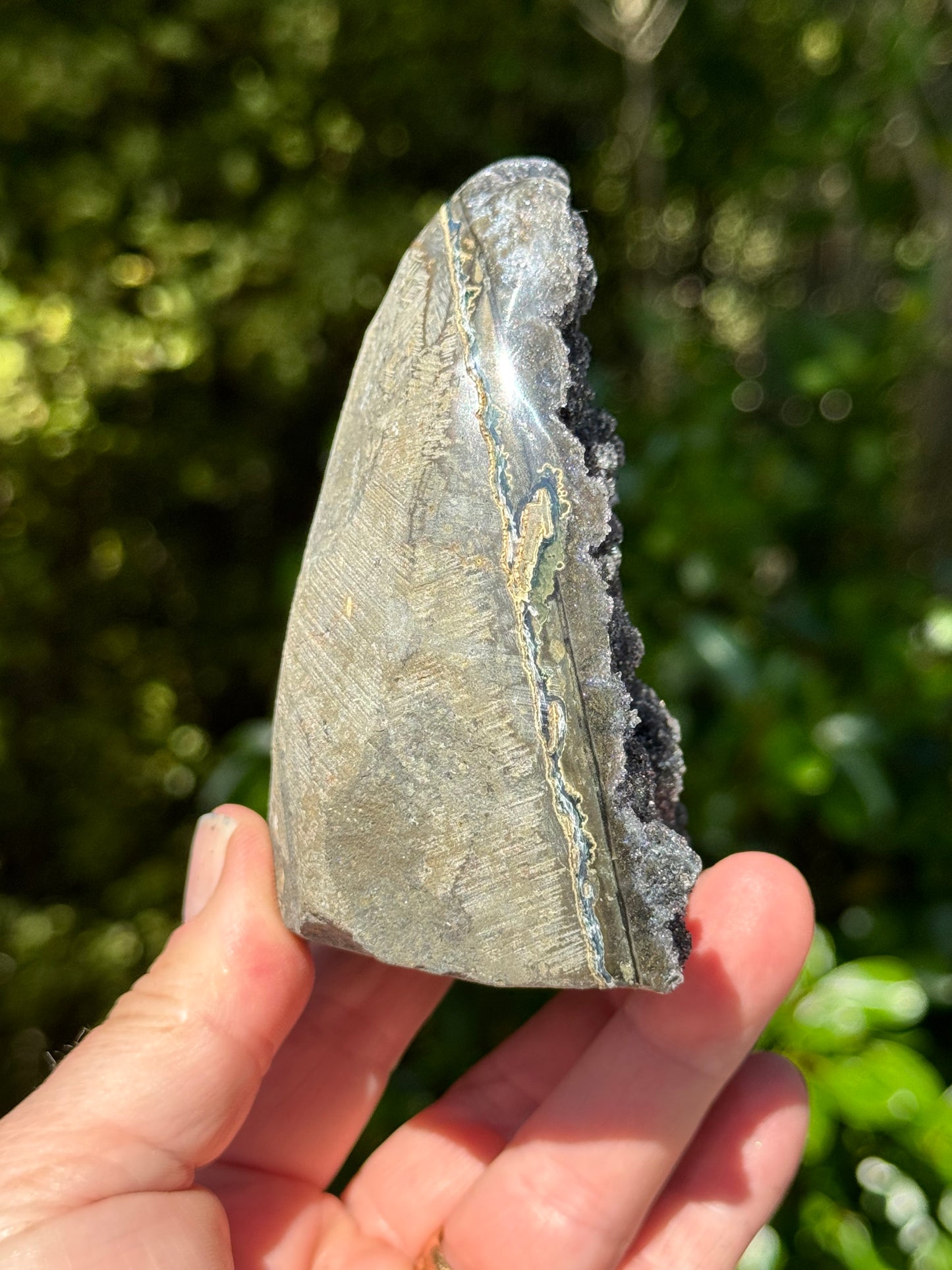 Black Amethyst Free form