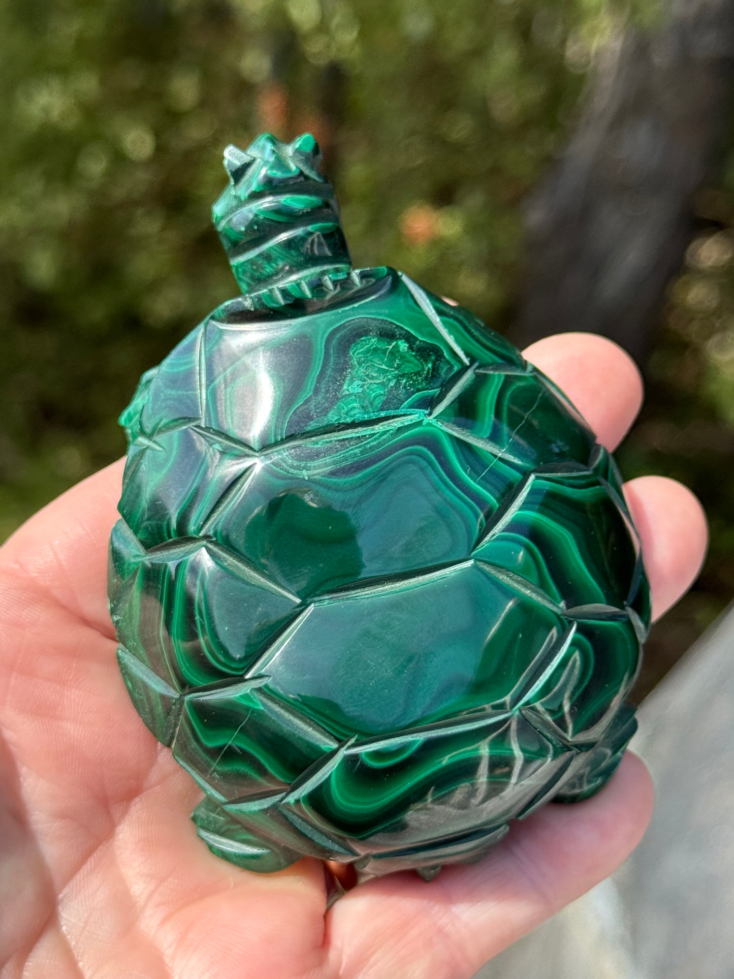 Malachite Carved Turtle