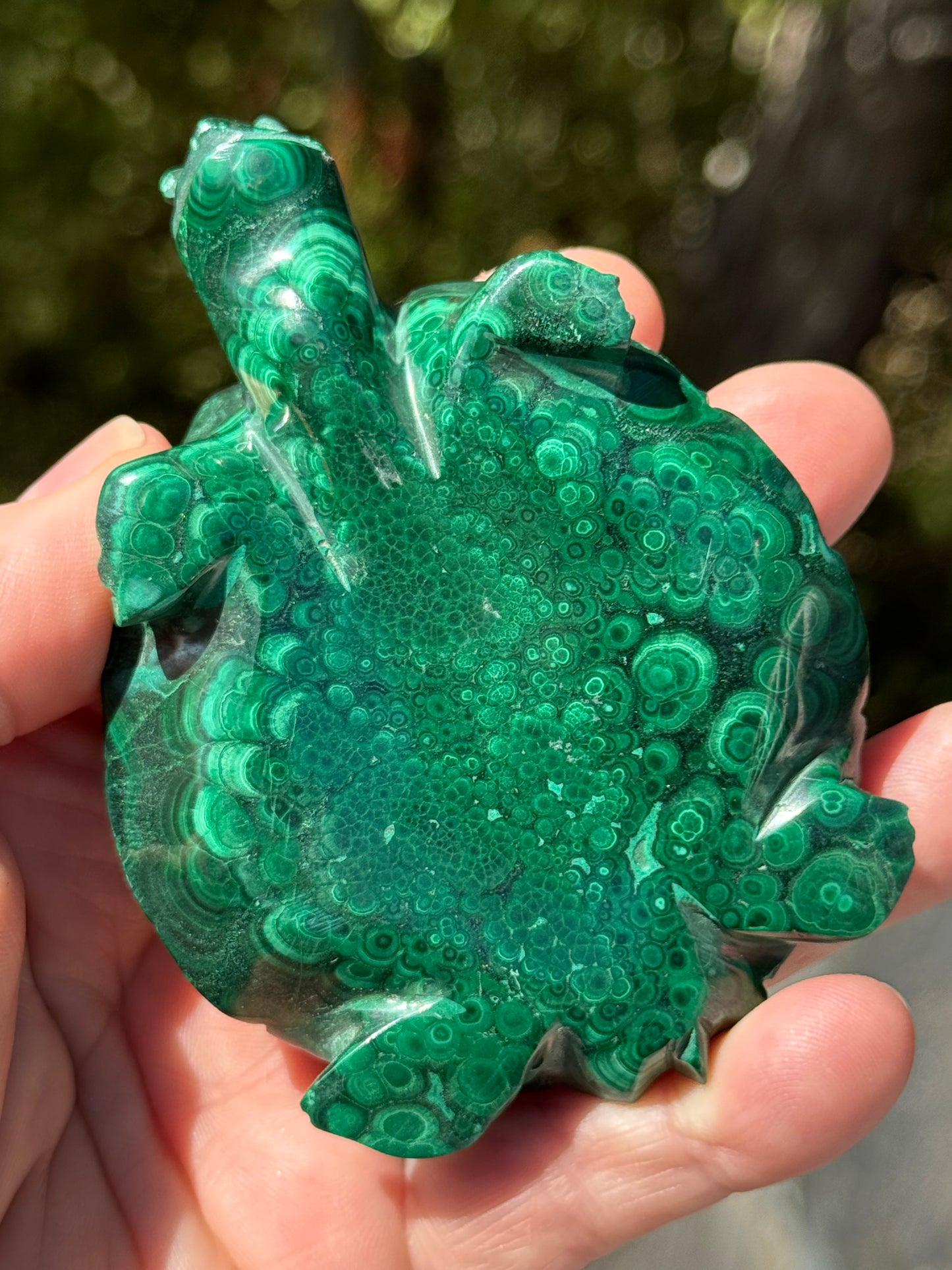 Malachite Carved Turtle