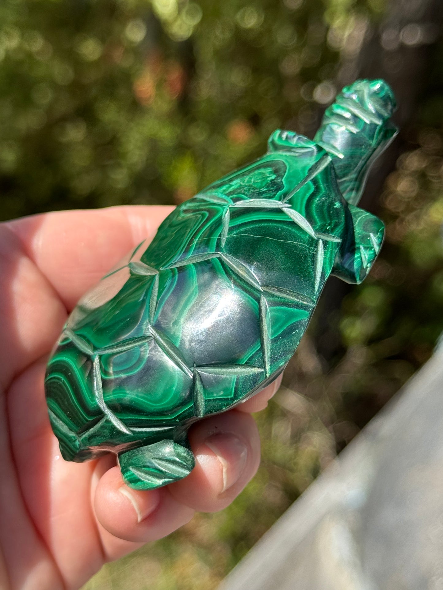 Malachite Carved Turtle