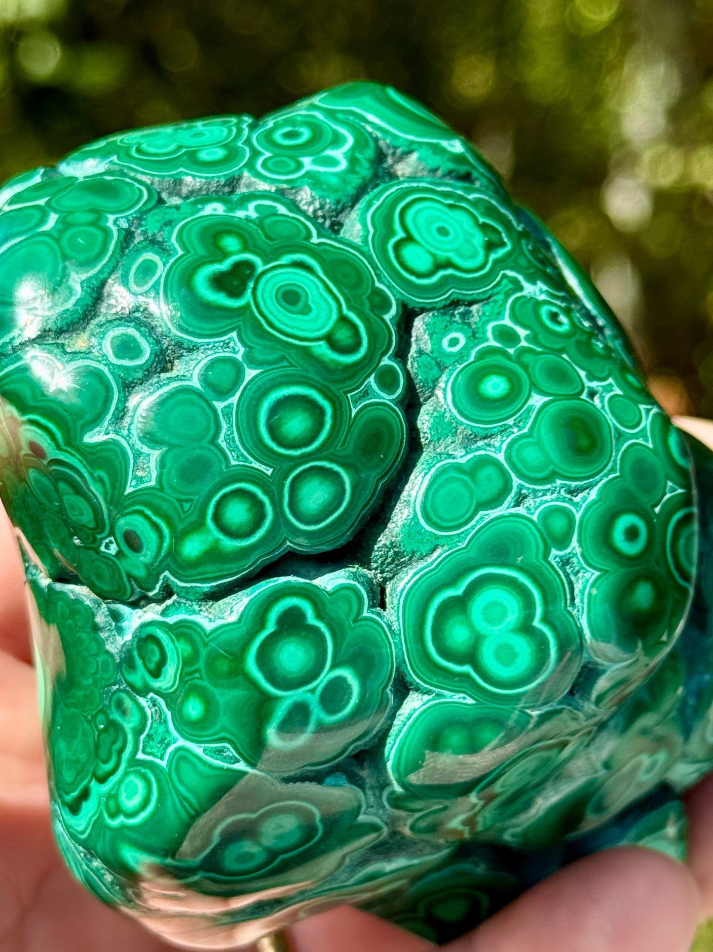 Malachite Free Form
