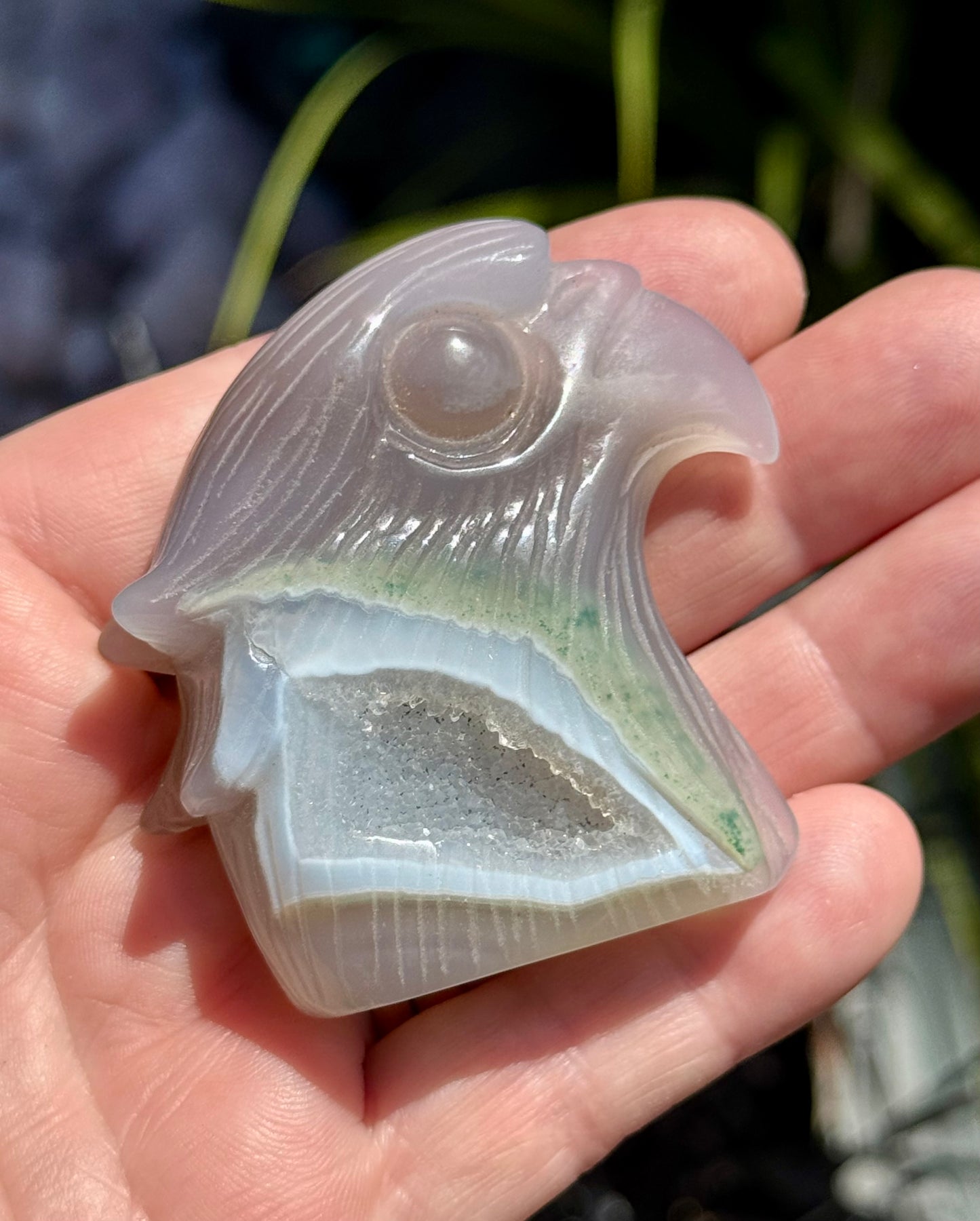 Agate Eagle