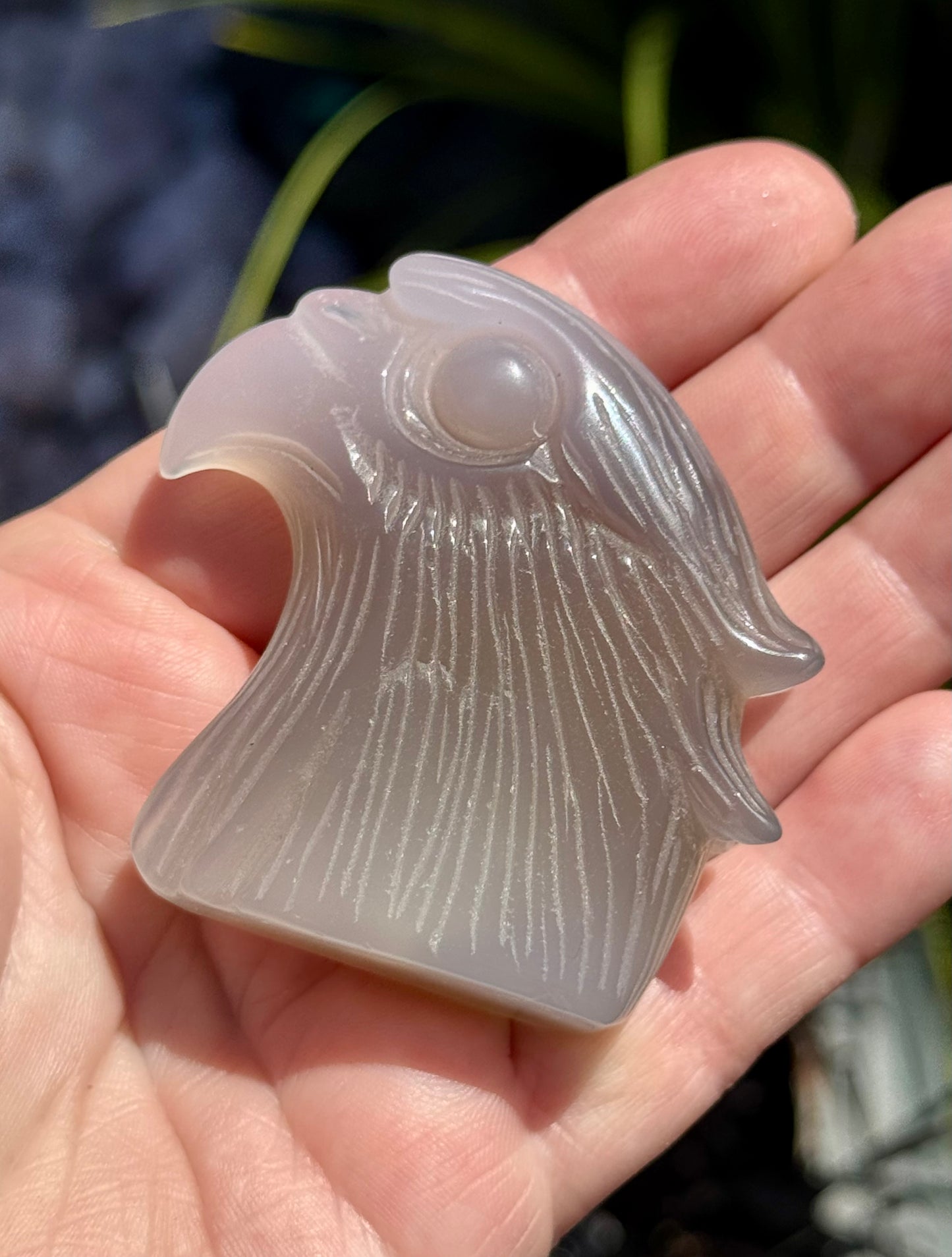 Agate Eagle