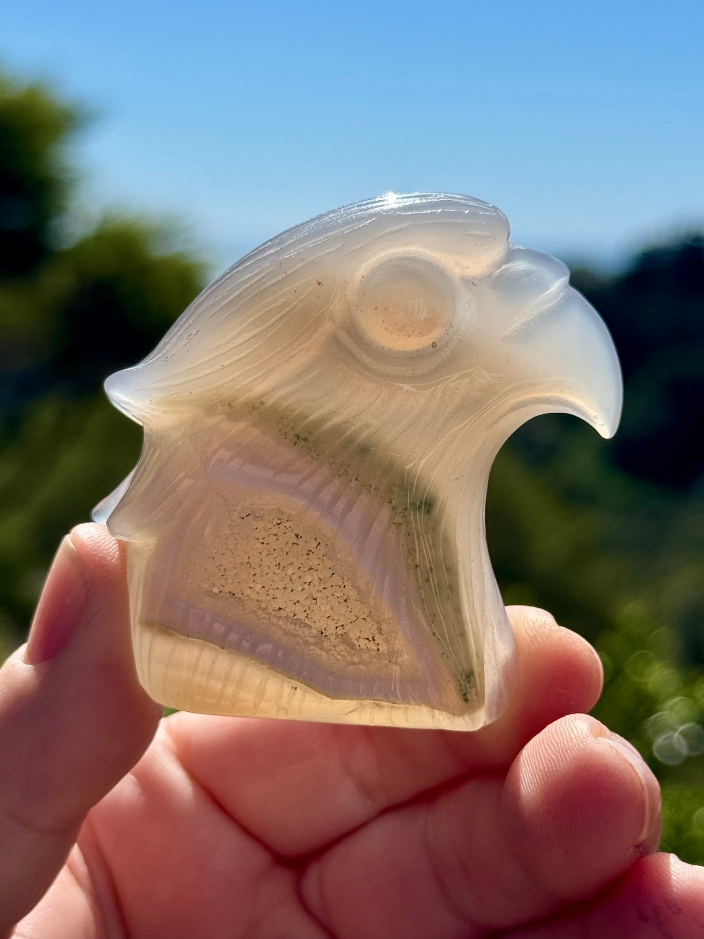 Agate Eagle