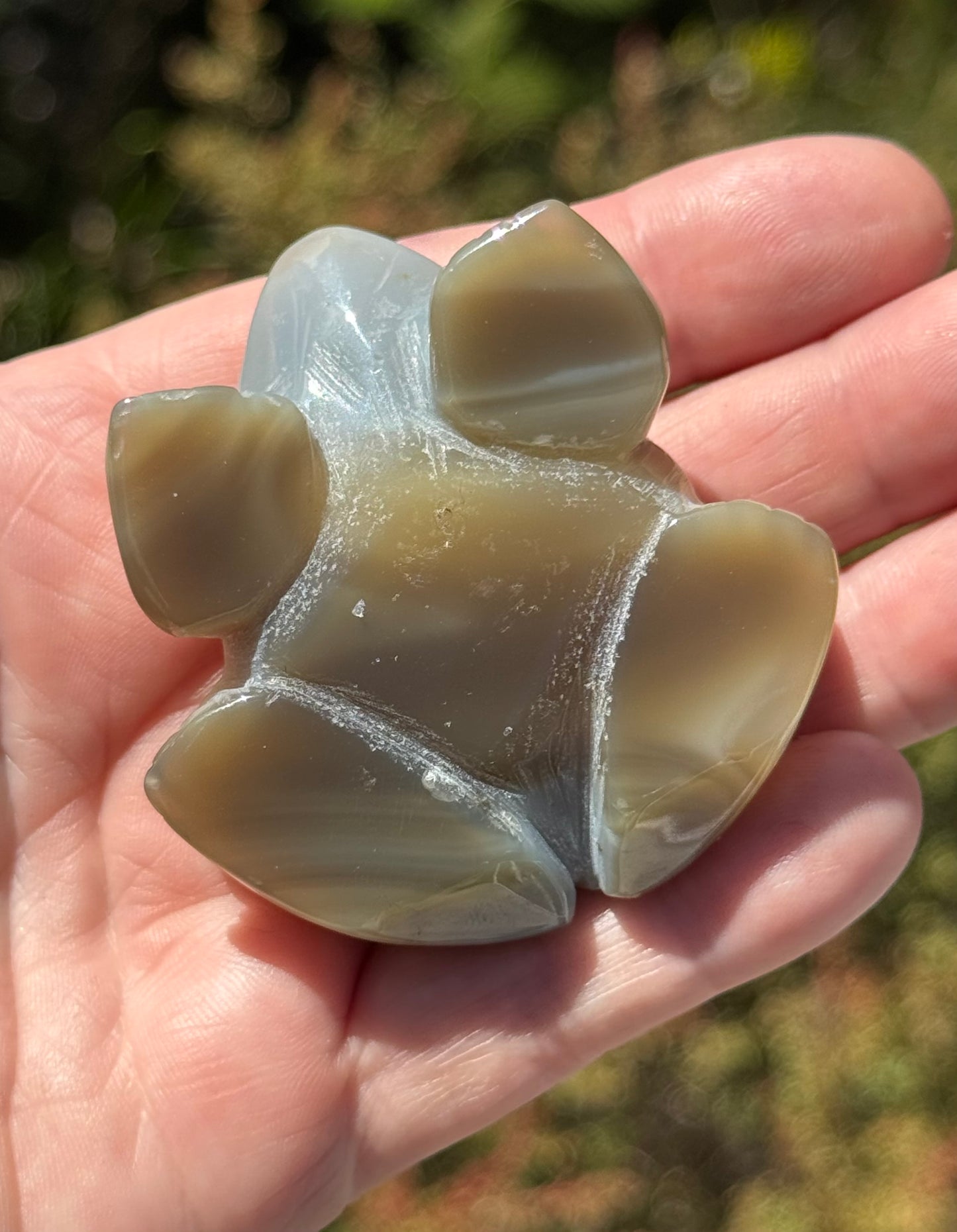 Agate Frog