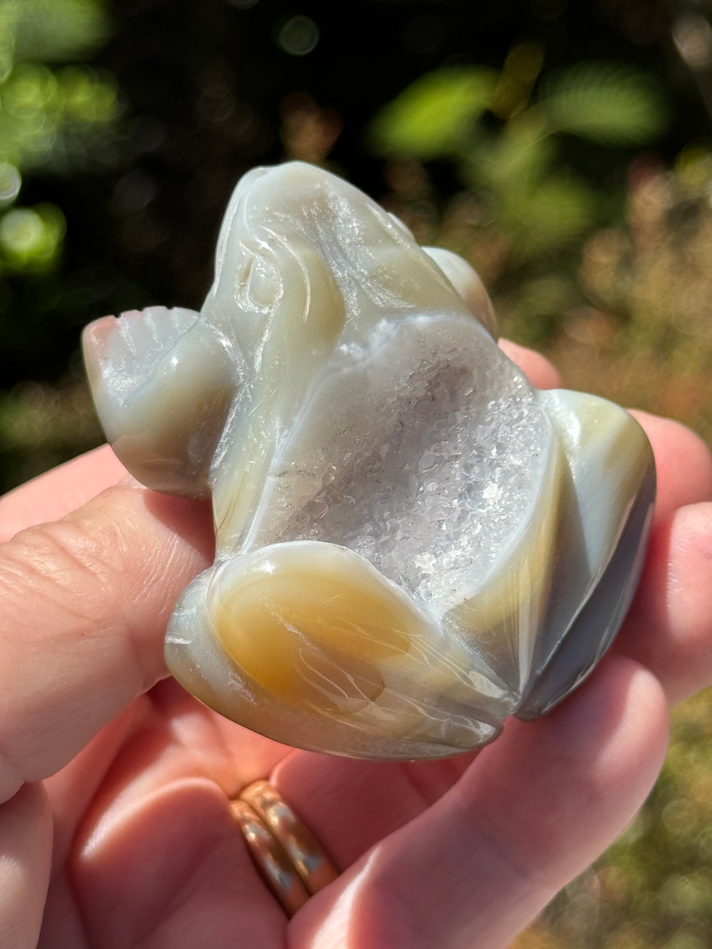 Agate Frog