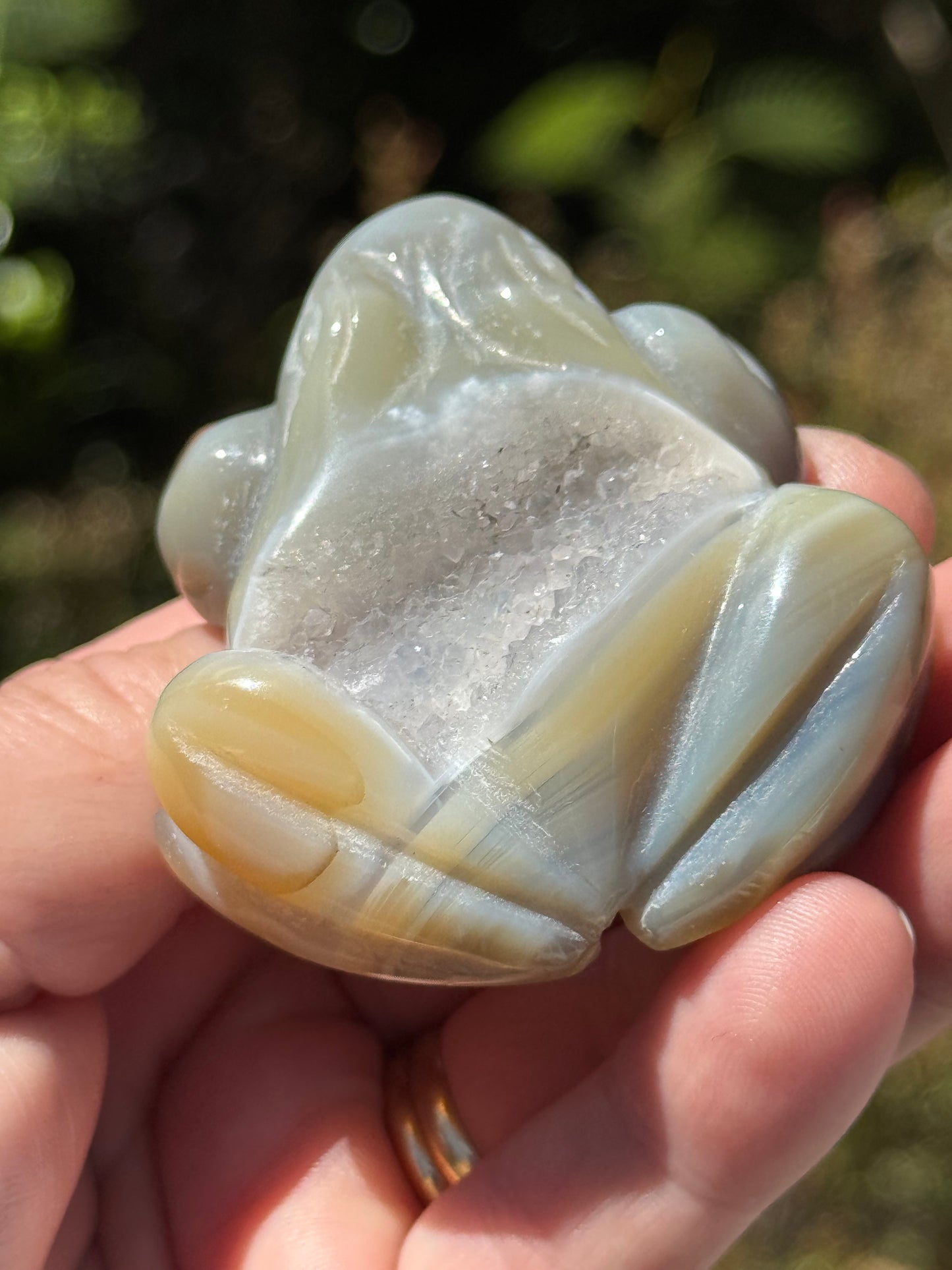 Agate Frog