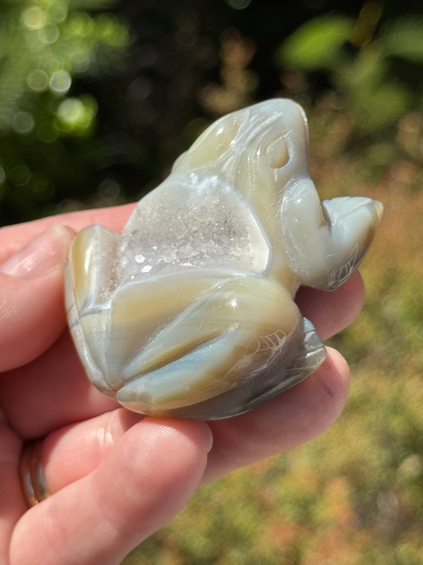 Agate Frog