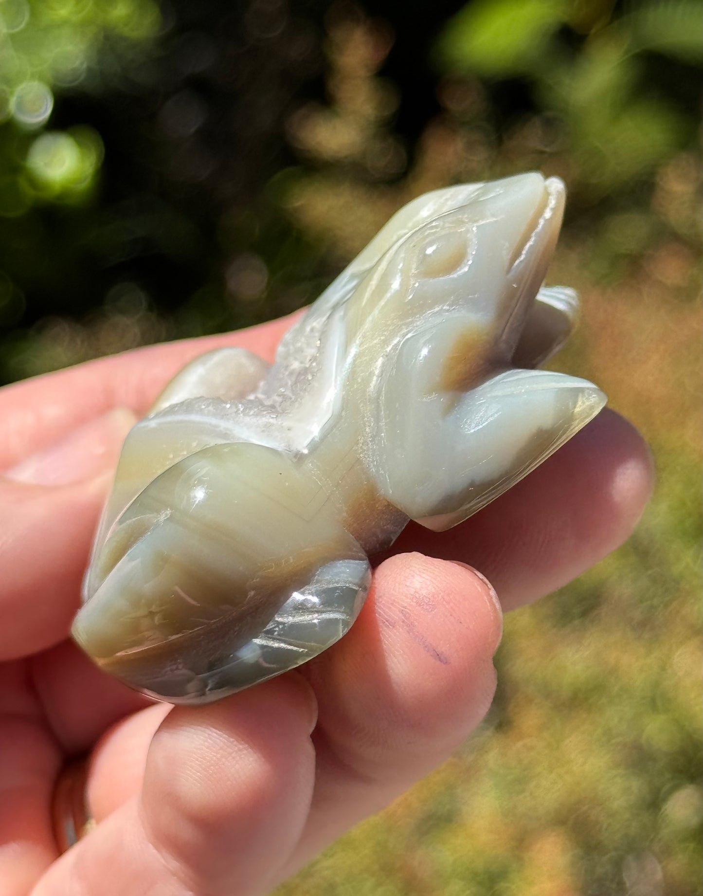 Agate Frog