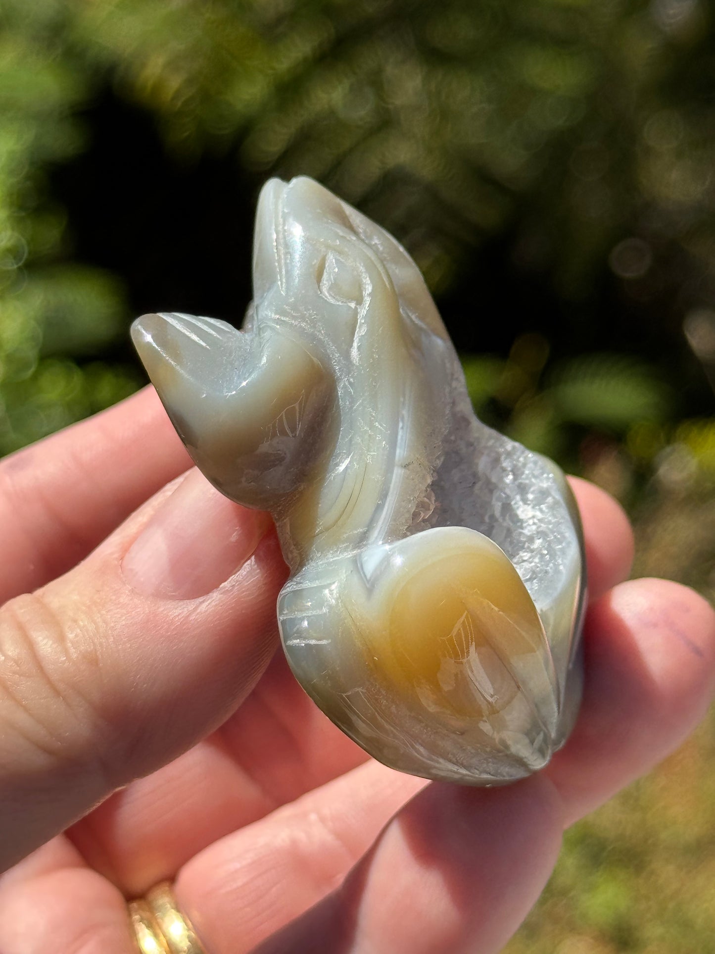 Agate Frog