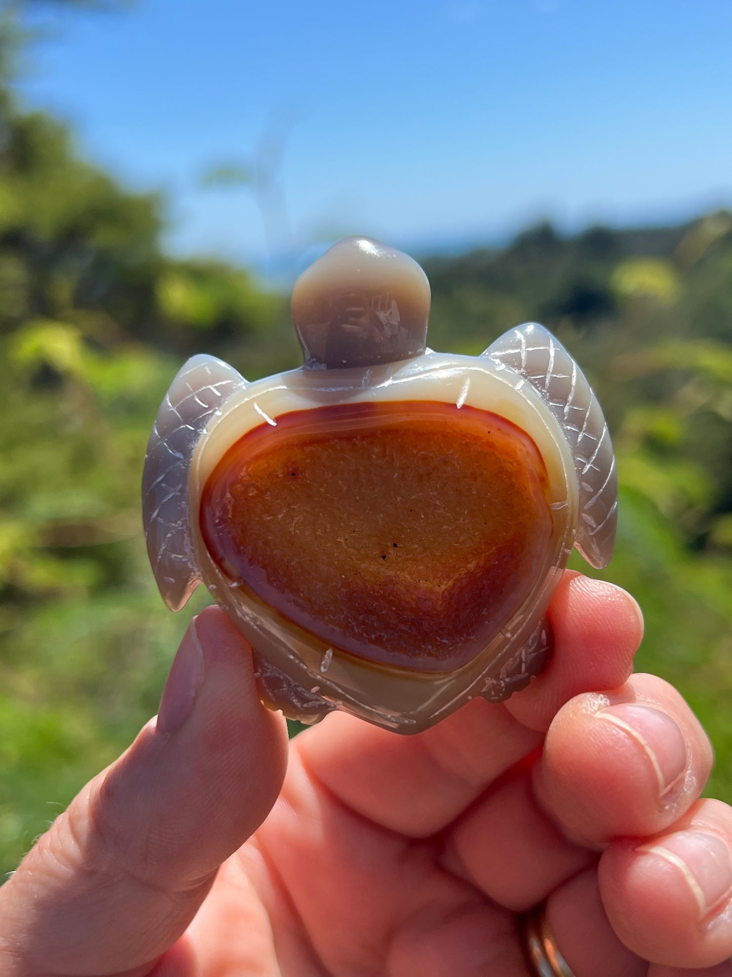 Agate Geode Turtle