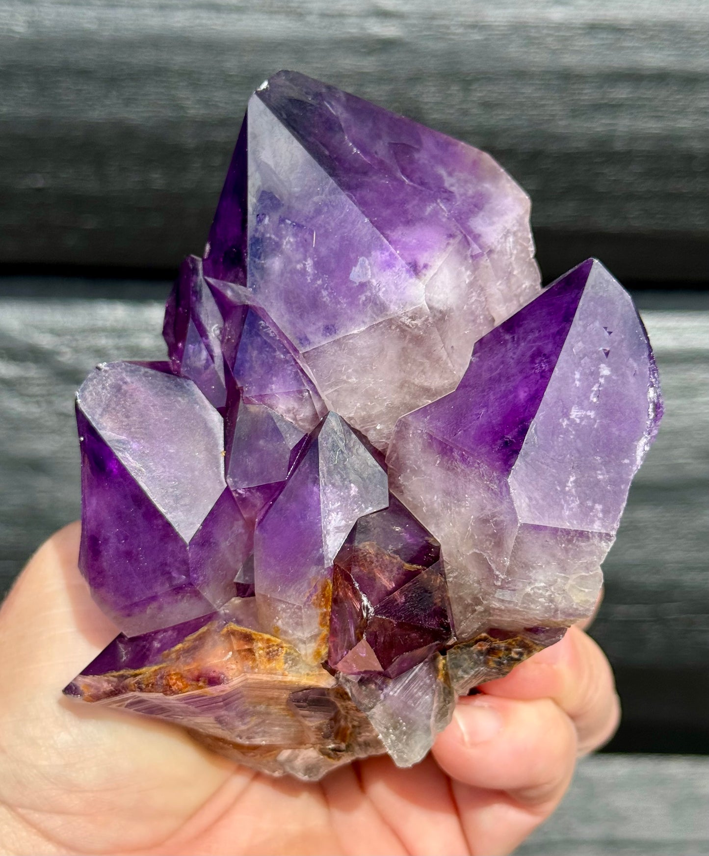 Amethyst Cluster, Large Deep Purple Points