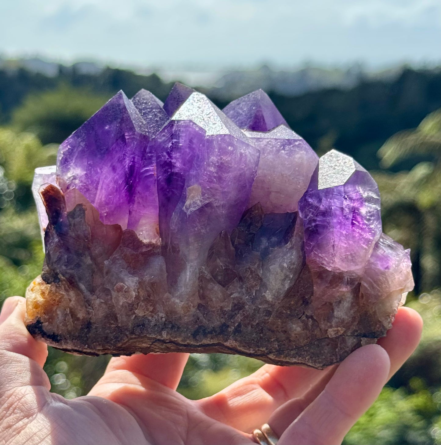 Amethyst Cluster, Large Deep Purple Points