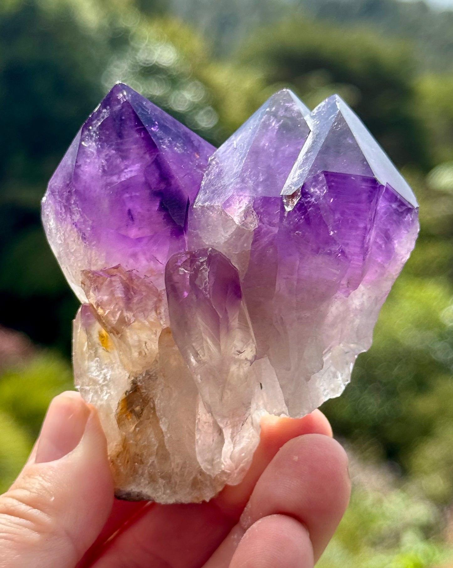Amethyst Cluster, Large Deep Purple Points