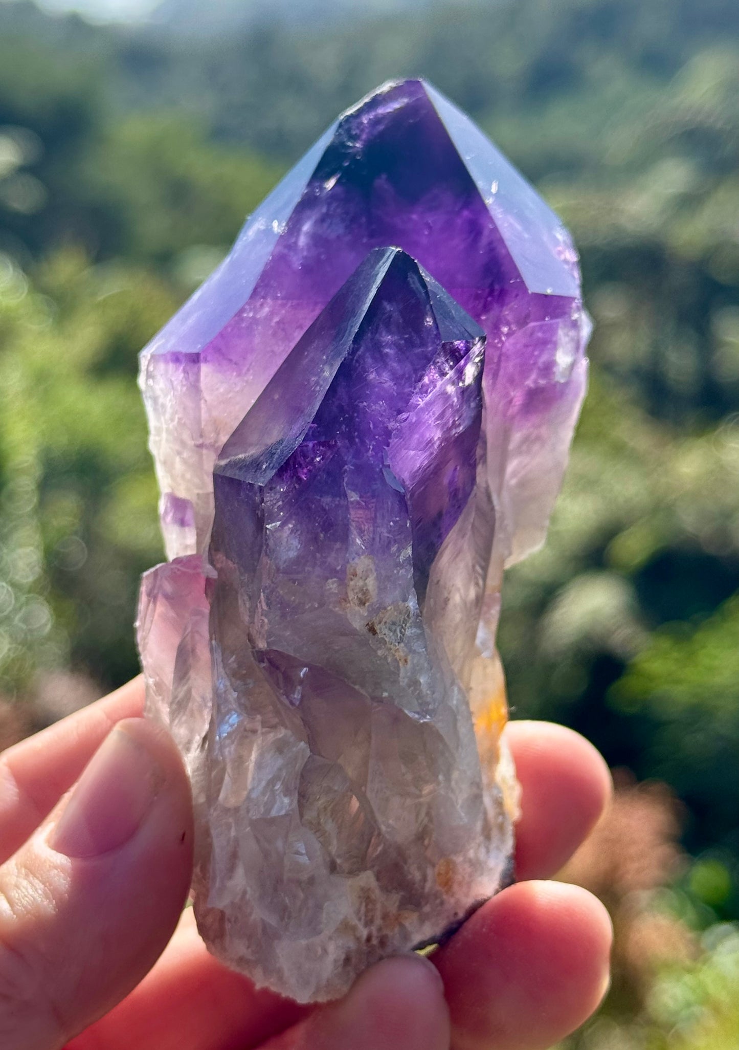 Amethyst Cluster, Large Deep Purple Points