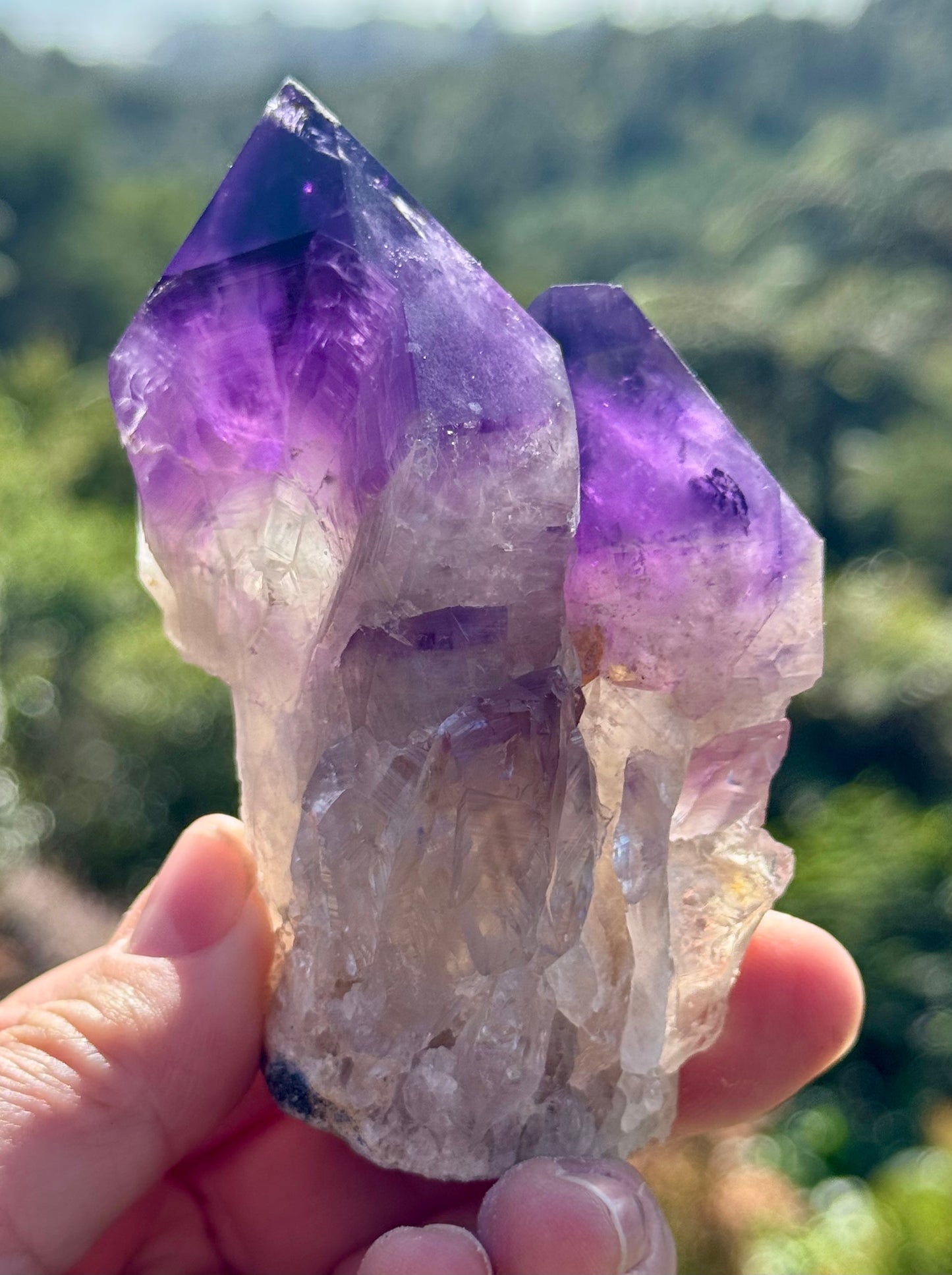 Amethyst Cluster, Large Deep Purple Points