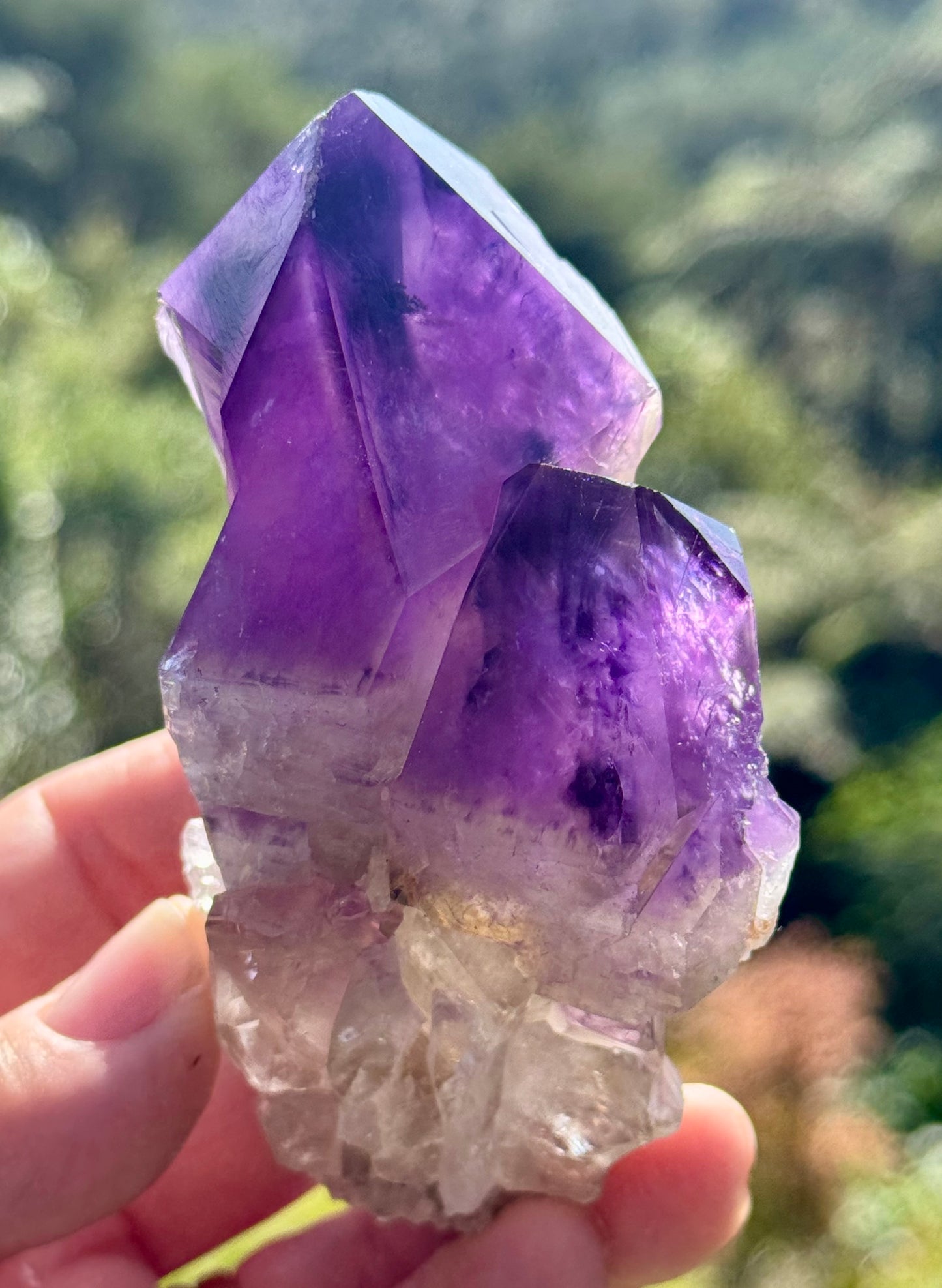 Amethyst Cluster, Large Deep Purple Points