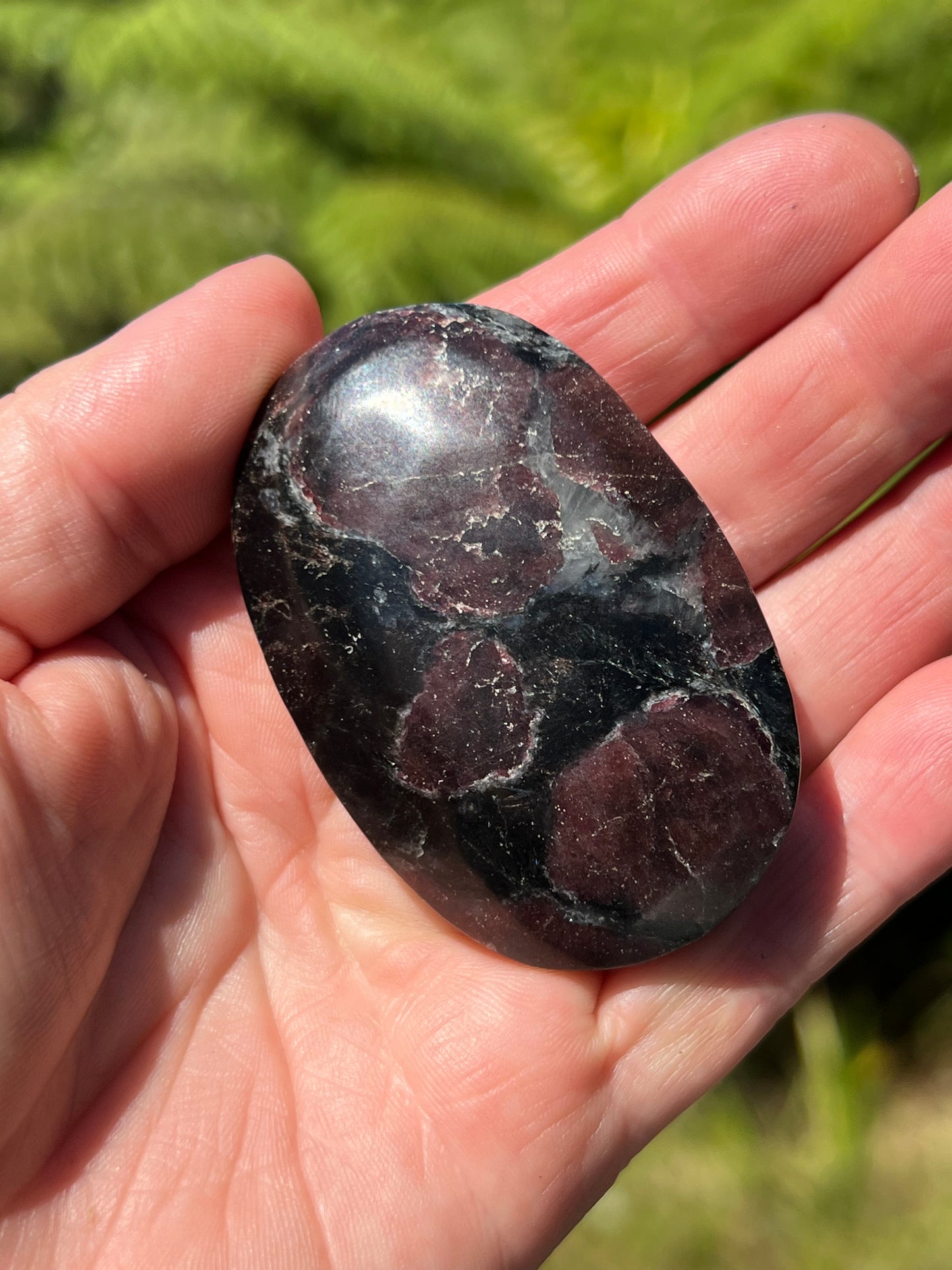 Almandine Garnet in Anthophyllite and Cordierite Soapstone