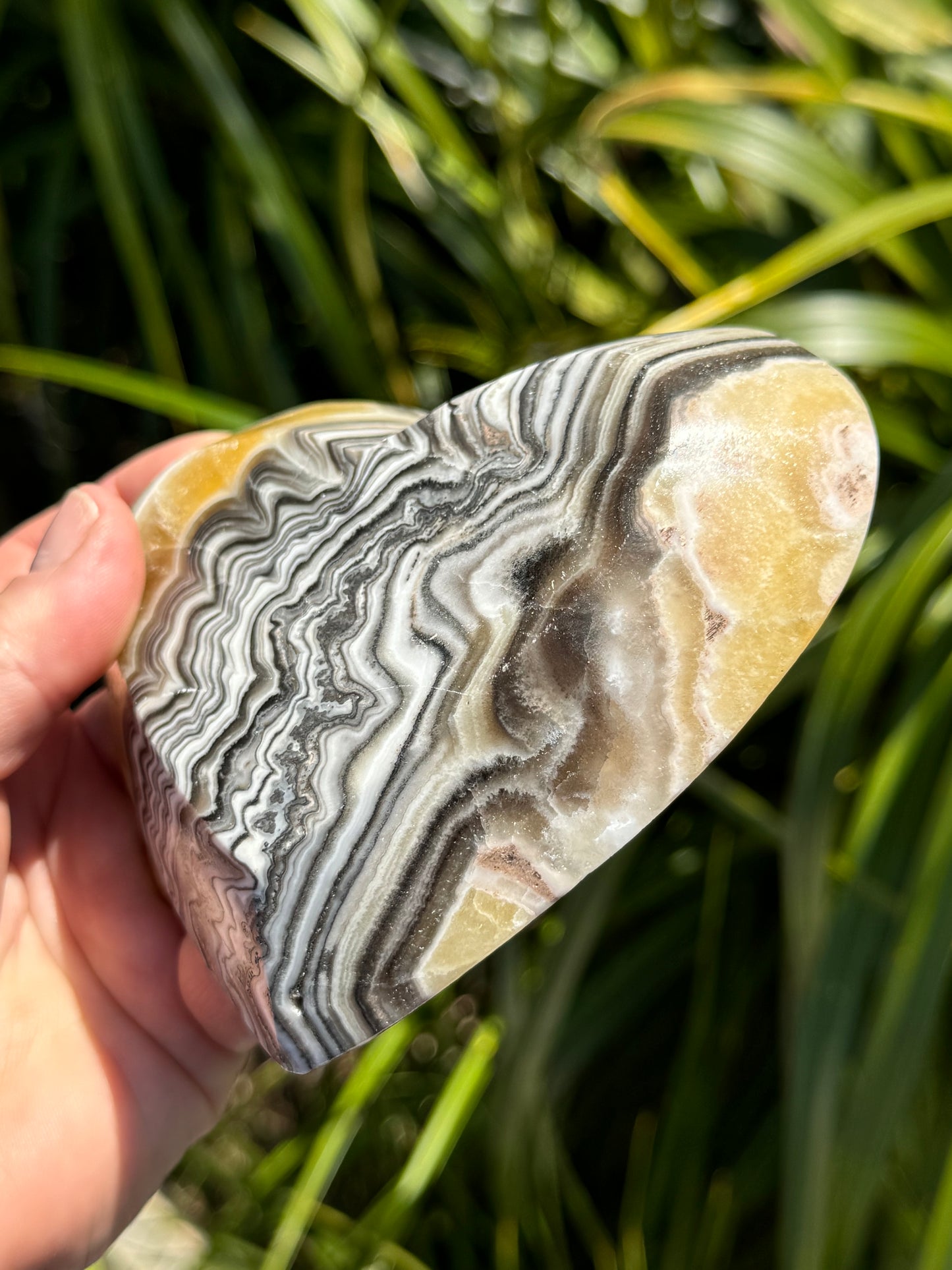 Zebra Calcite Heart Bowl E