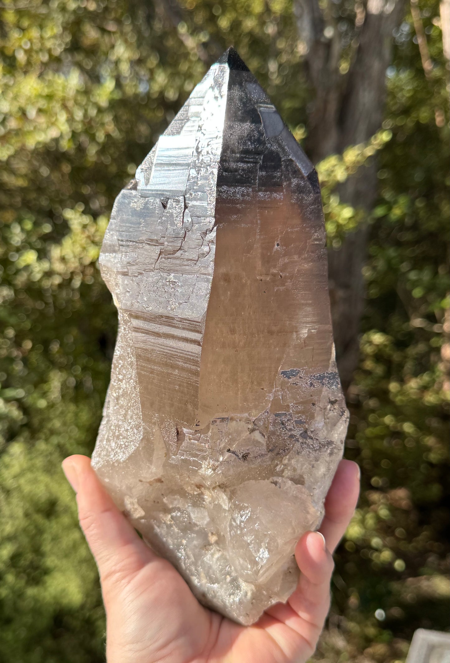 Natural Smoky Morion Quartz