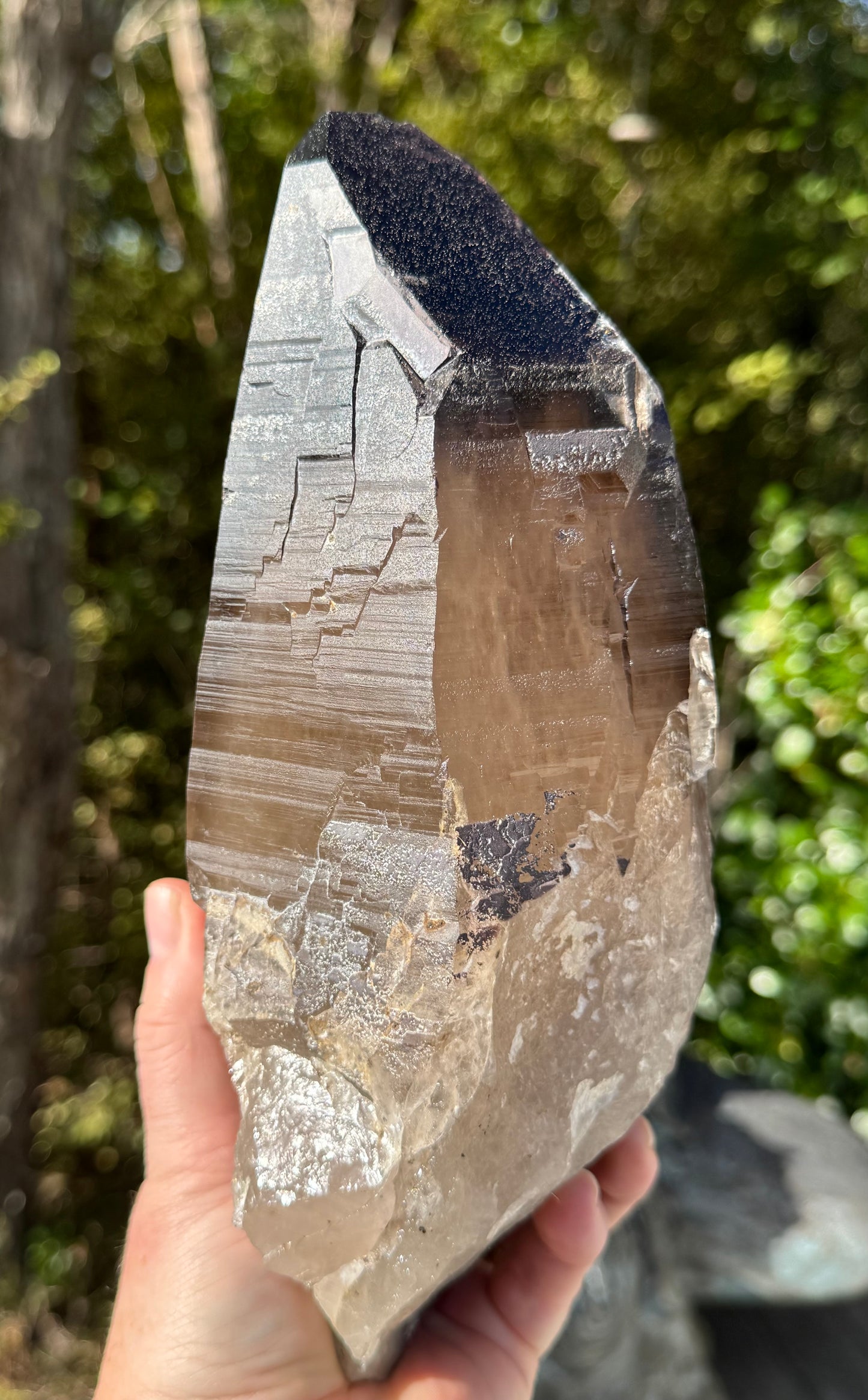Natural Smoky Morion Quartz