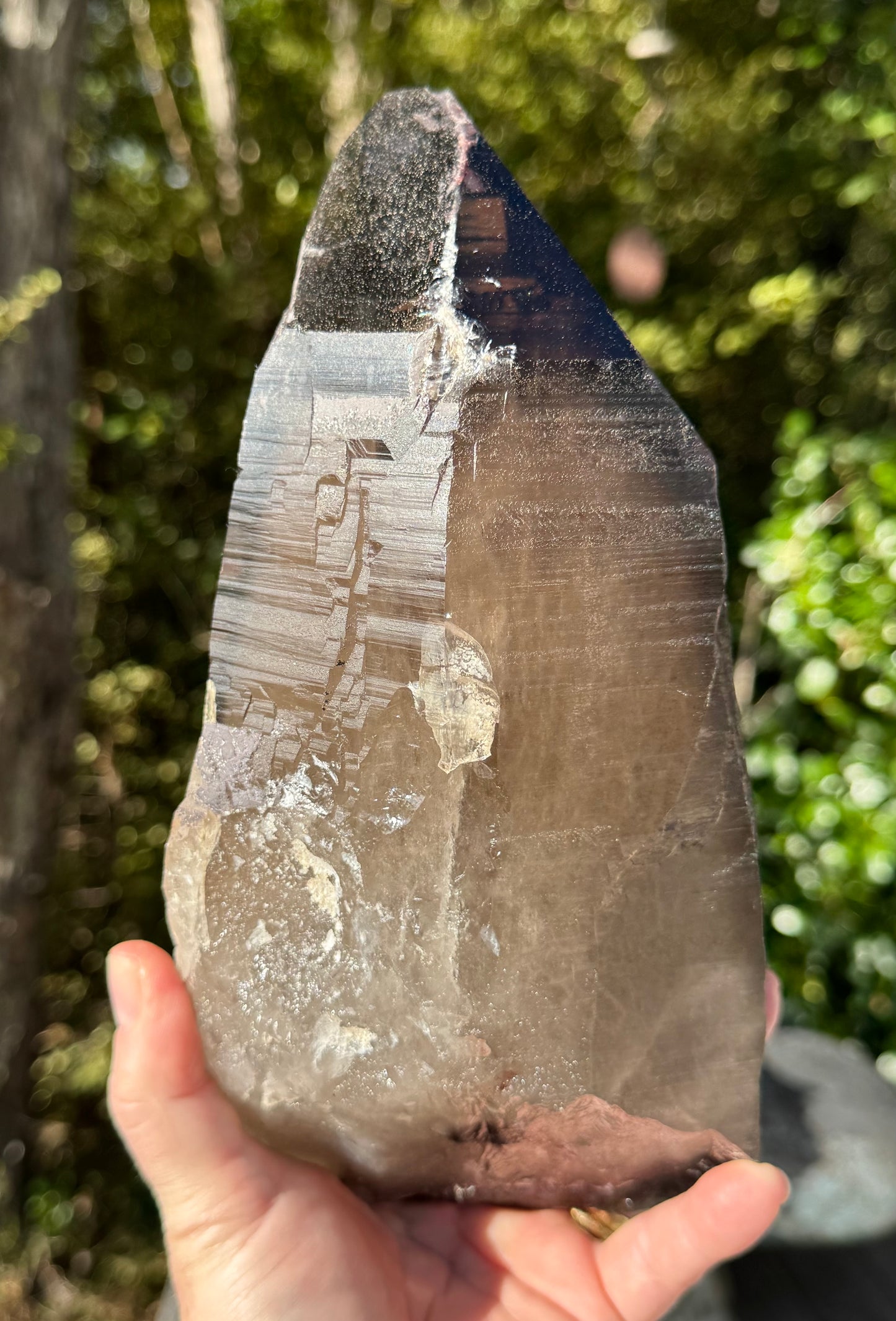 Natural Smoky Morion Quartz