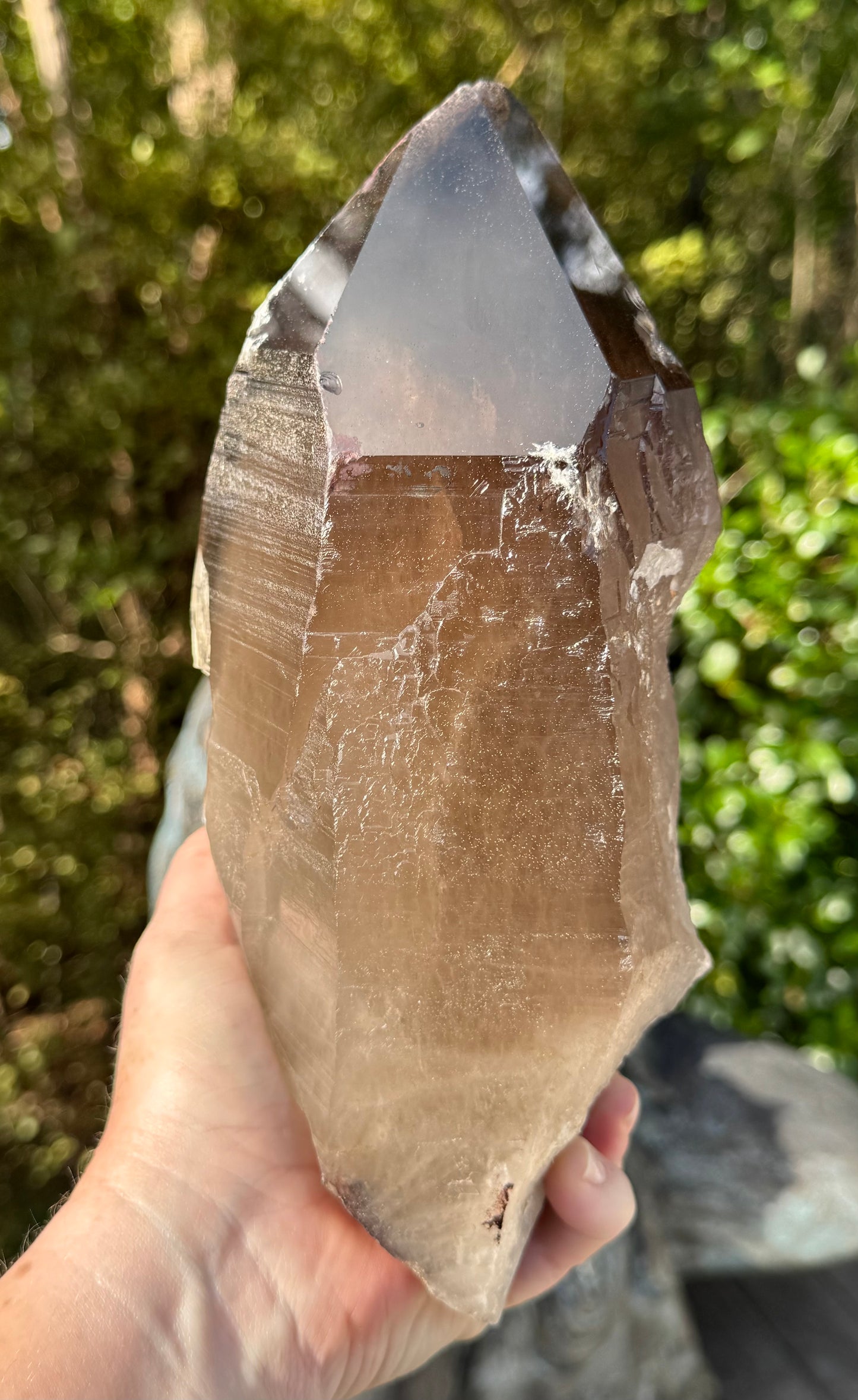 Natural Smoky Morion Quartz