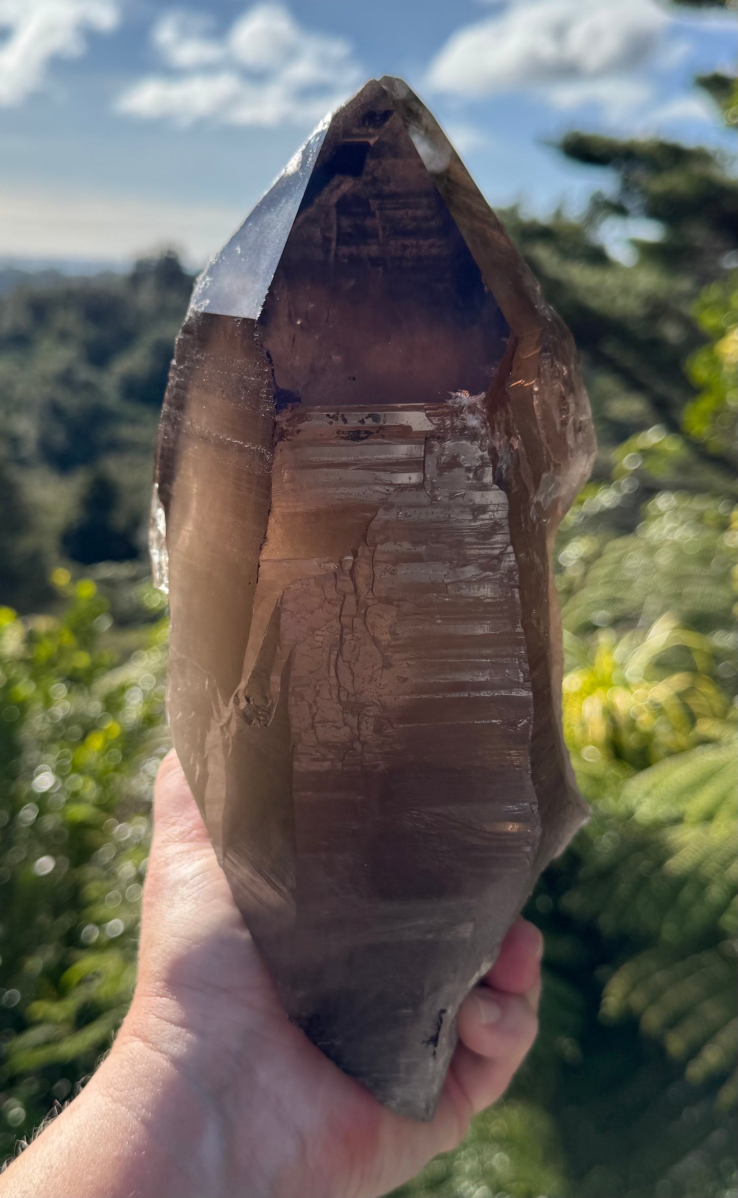 Natural Smoky Morion Quartz
