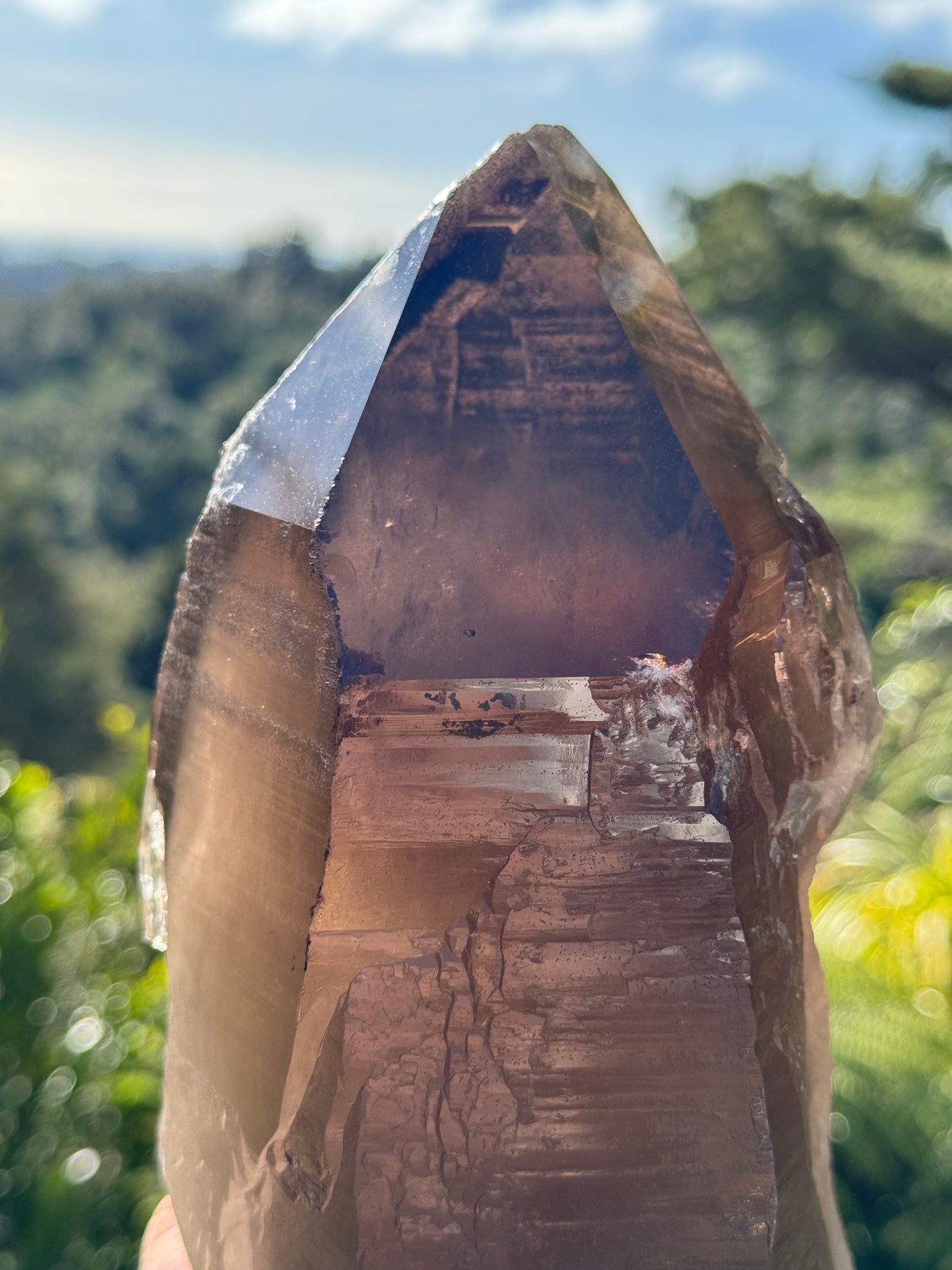 Natural Smoky Morion Quartz