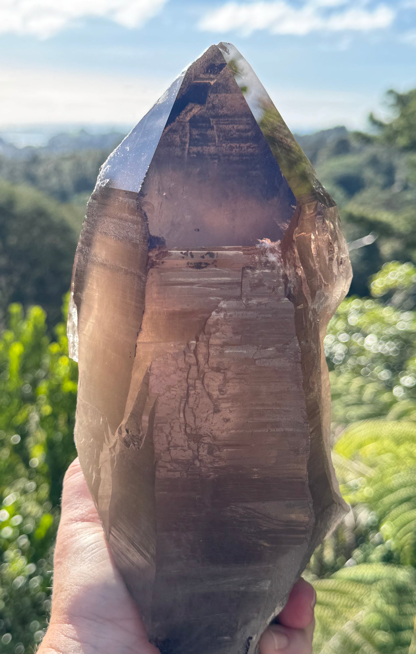Natural Smoky Morion Quartz